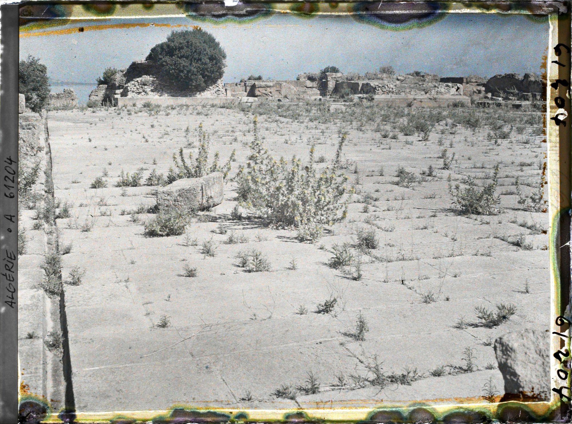 Image représentant Le dallage de la place du forum