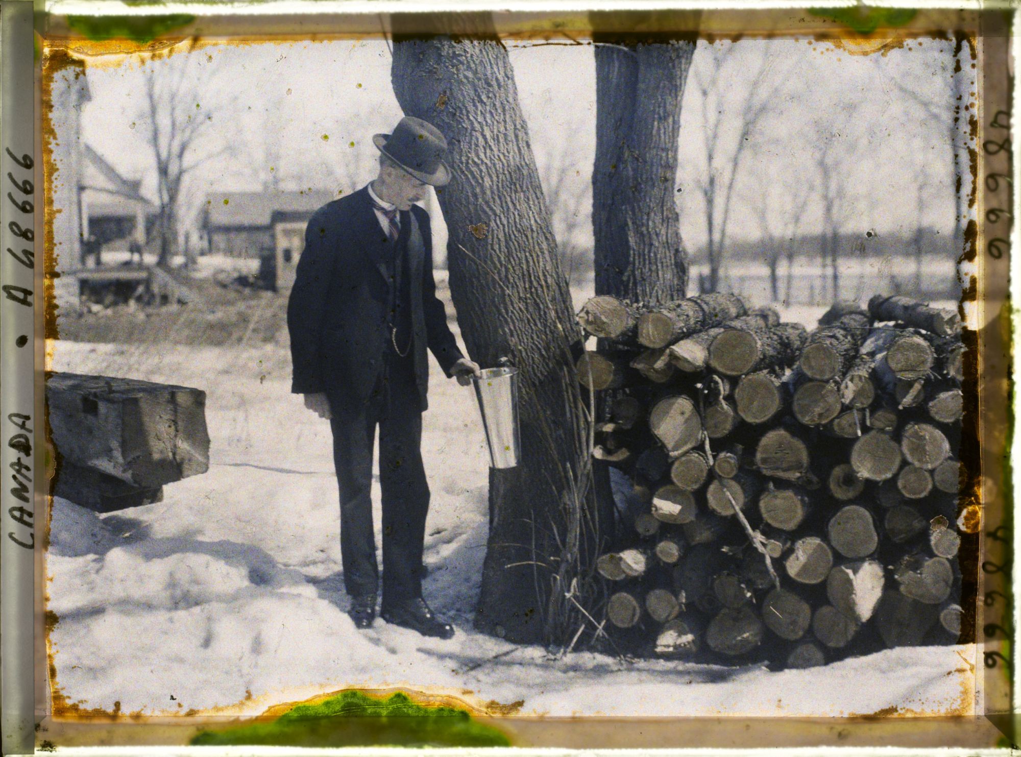 Image représentant Canada, Laval Des Rapides, Récolte du sucre d'érable