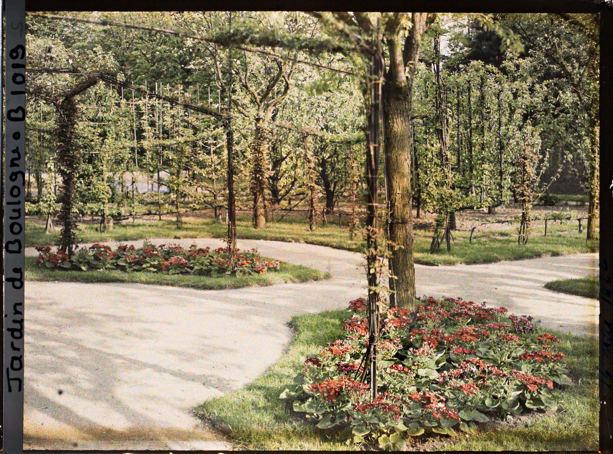 Image représentant Coin sud-est du verger-roseraie, vu depuis le rond-point proche du jardin français