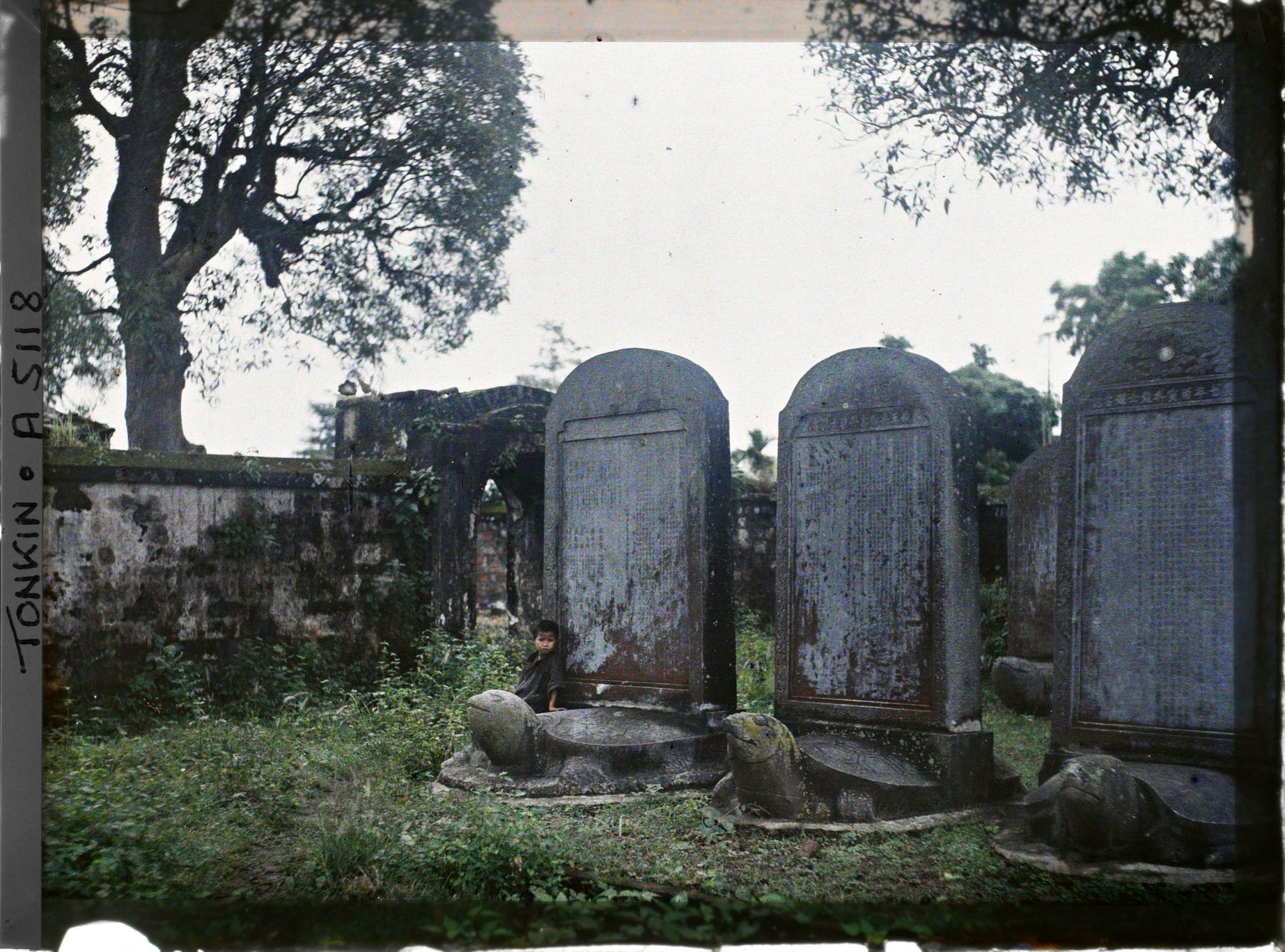 Image représentant Trois stèles élevées sur des tortues de pierre, dans la troisième cour du temple confucéen de la " Culture littéraire ", dans le quartier de la Citadelle (route de Sinh-tu)