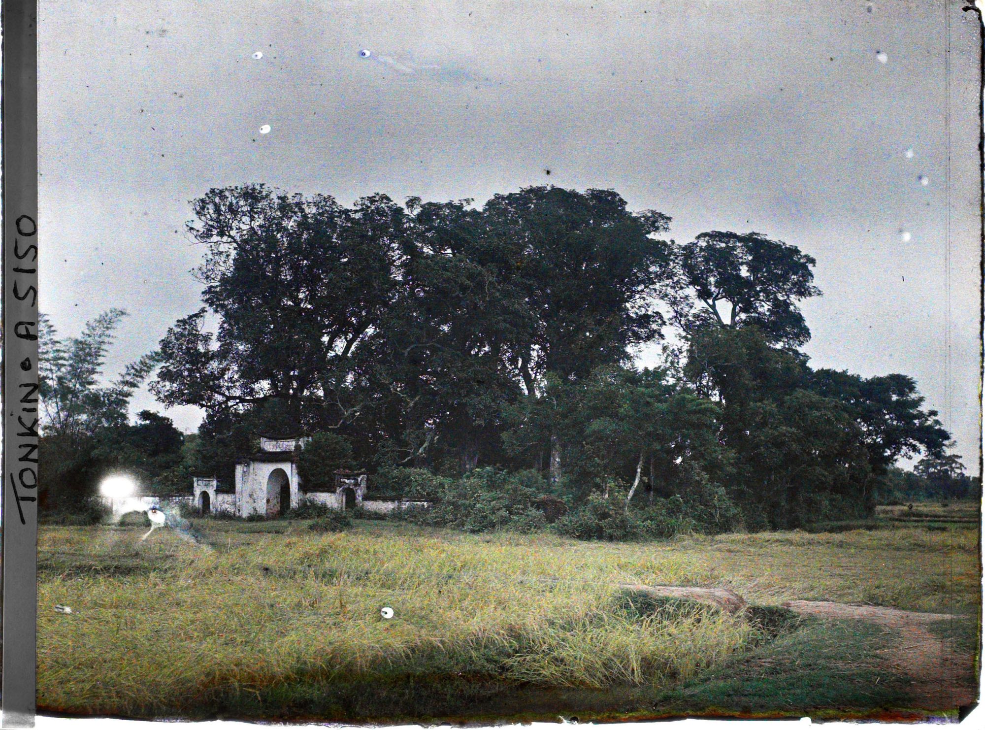 Image représentant Un temple au milieu des champs