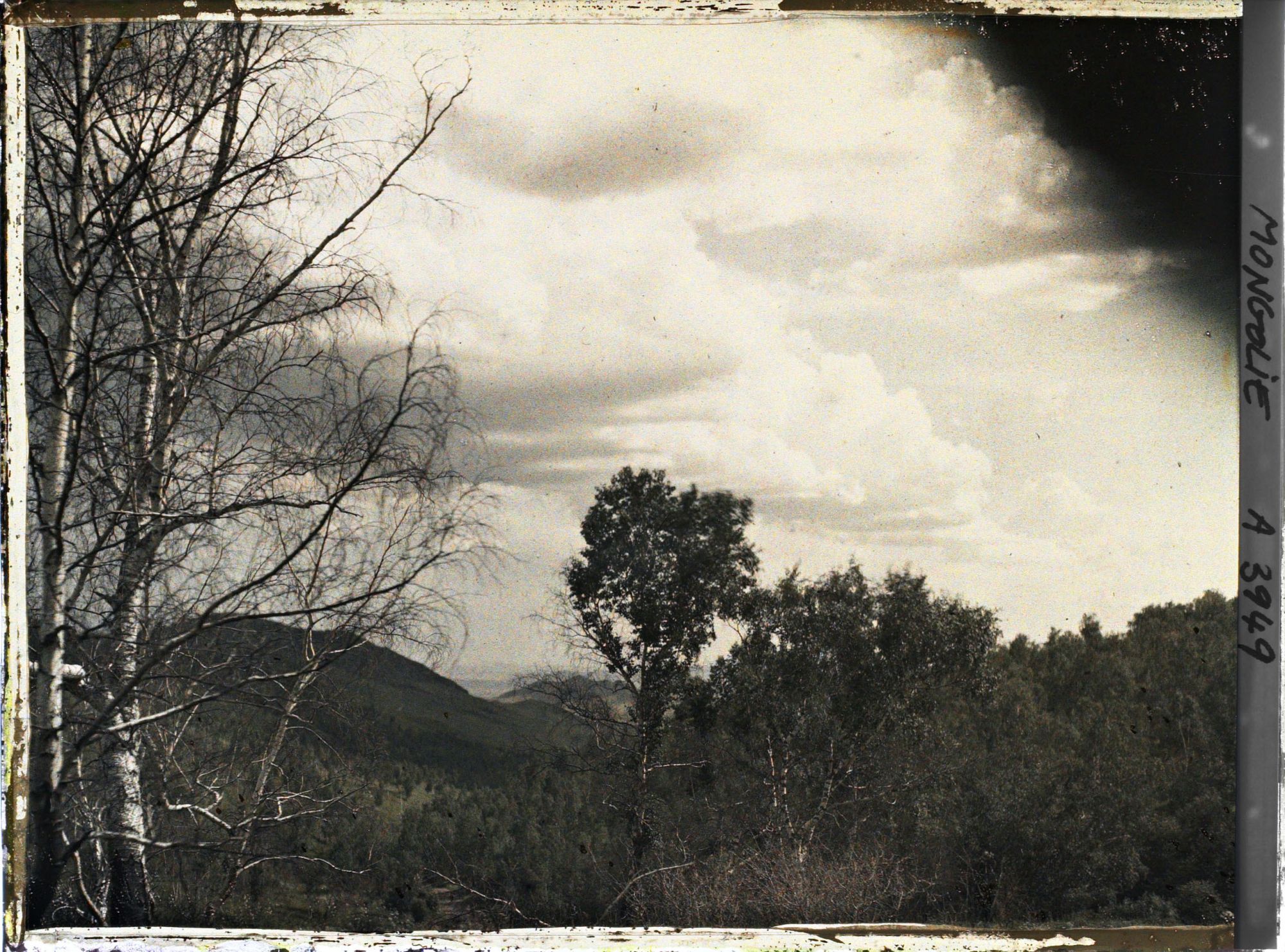 Image représentant Vue de la taïga avec à l'arrière-plan des montagnes