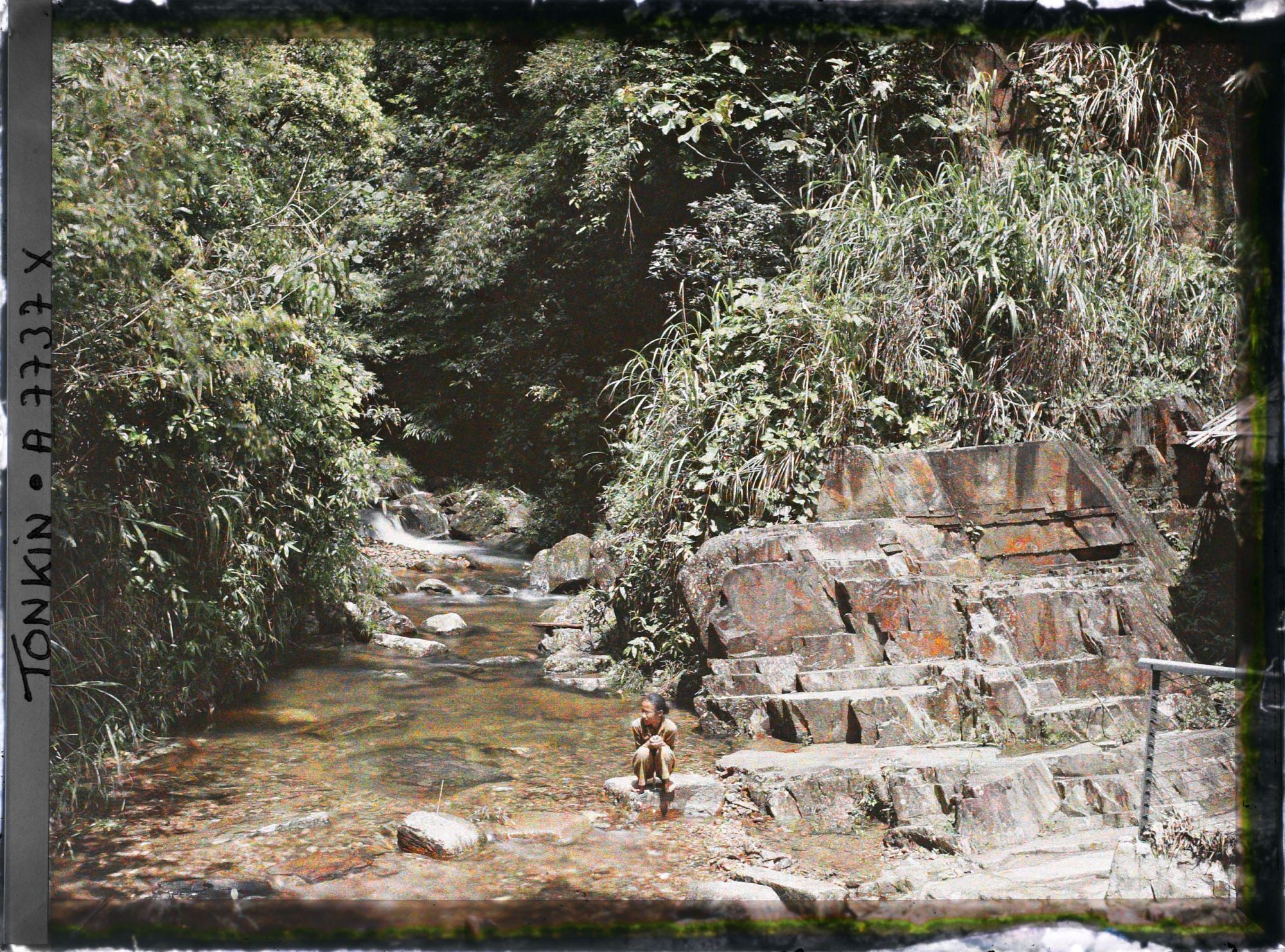 Image représentant Un ruisseau et un escalier taillé dans le roc sur une pente du massif du Tam-dao (" Trois Sommets ")