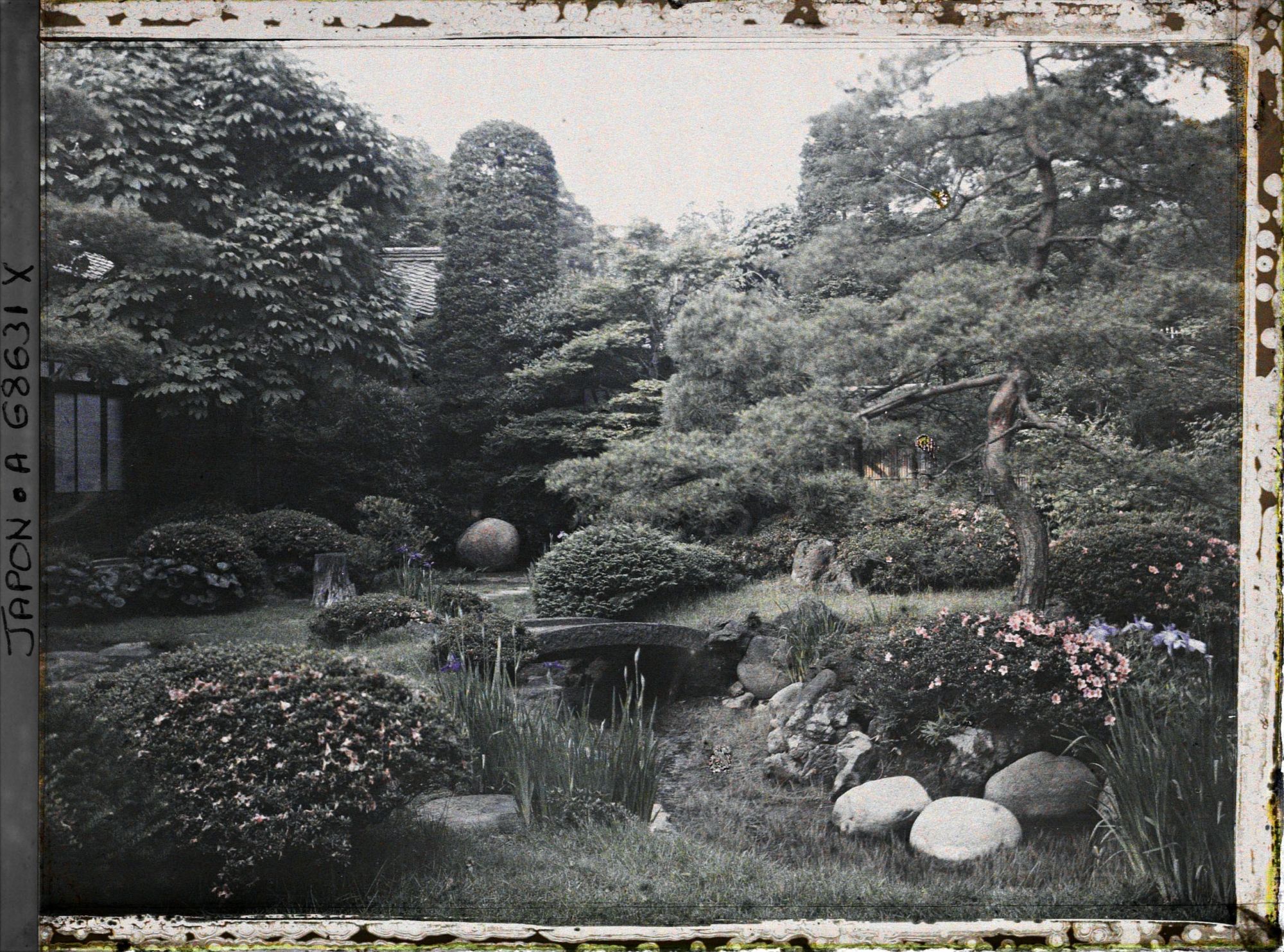 Image représentant Un jardin privé