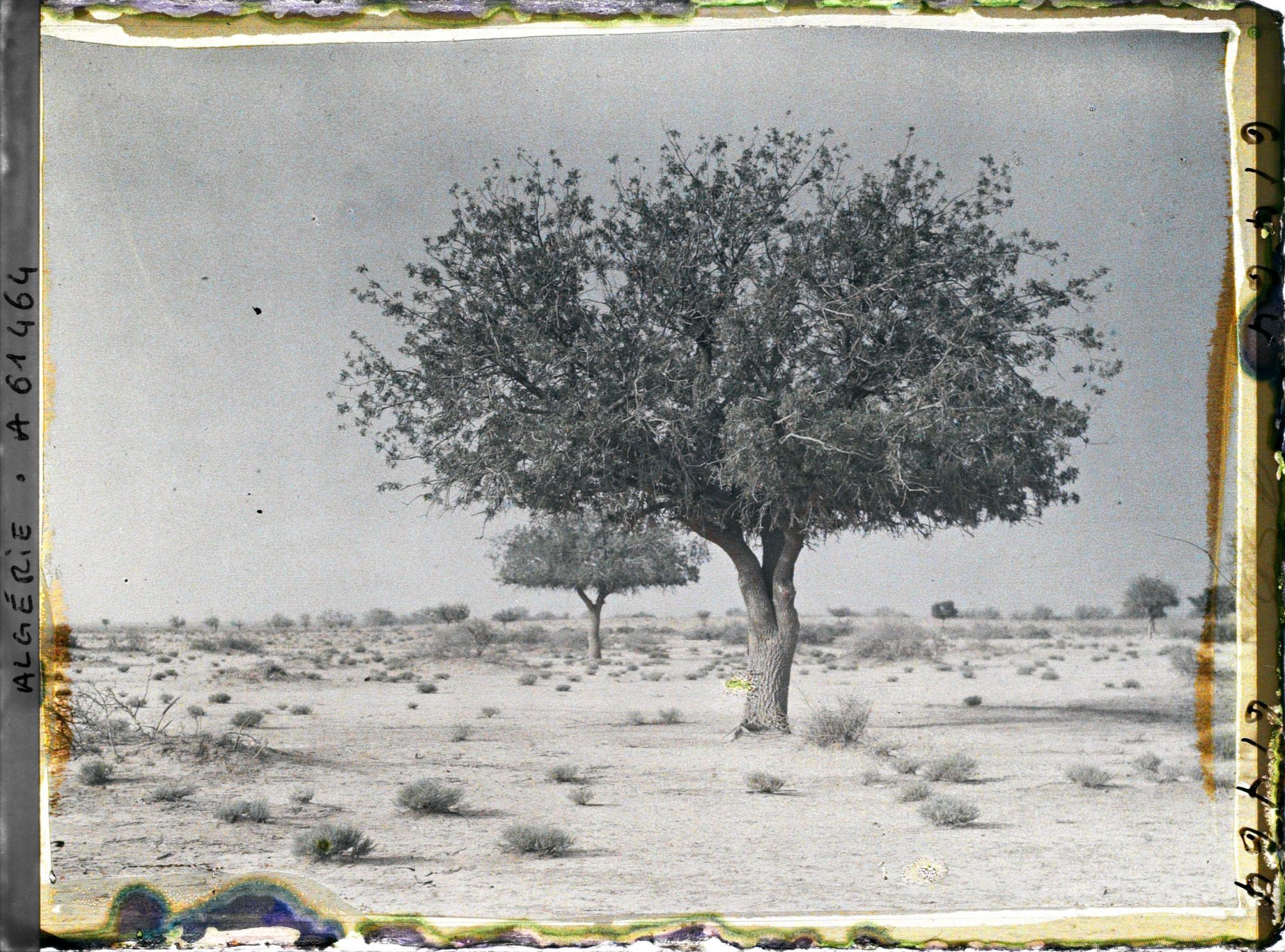 Image représentant Un aspect de la daya