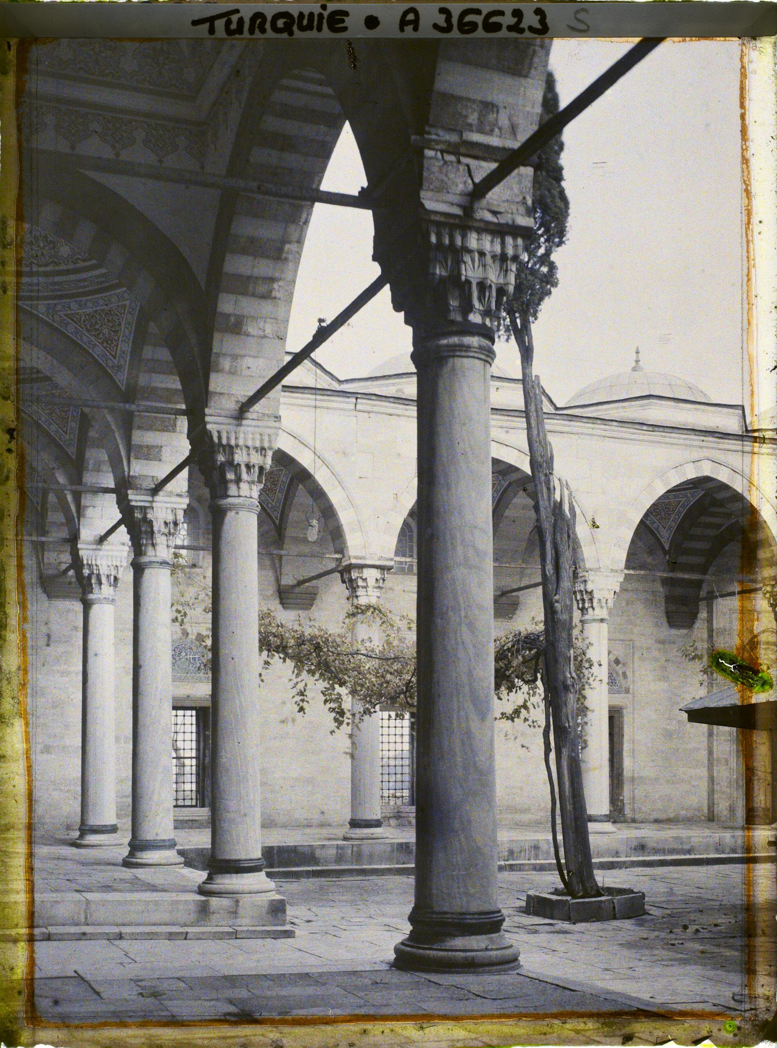 Image représentant Cour de la Sultan Selim Camii ("Mosquée du Sultan Selim" )