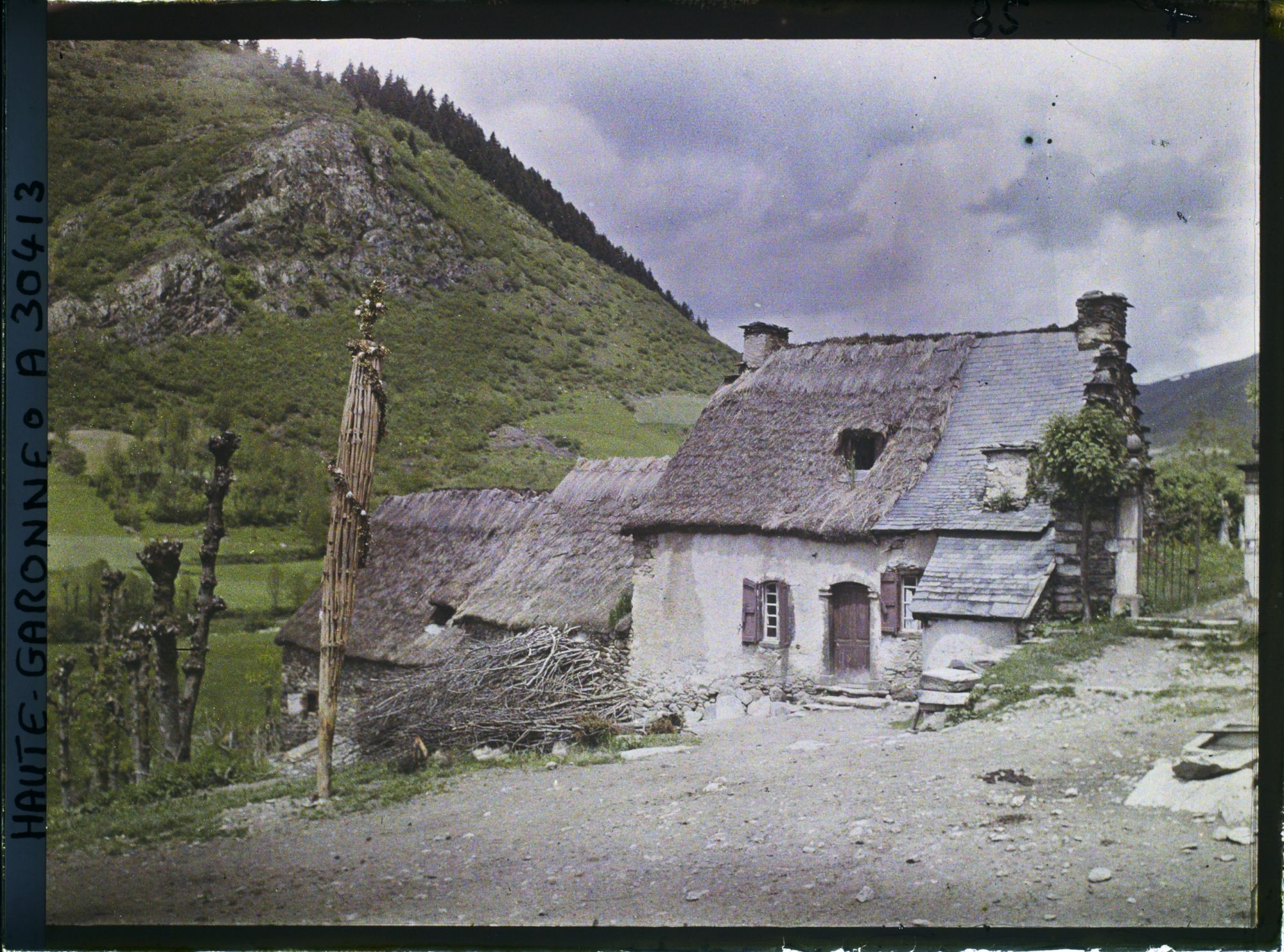 Image représentant Arbre de la Saint-Jean, sur le bord de la route