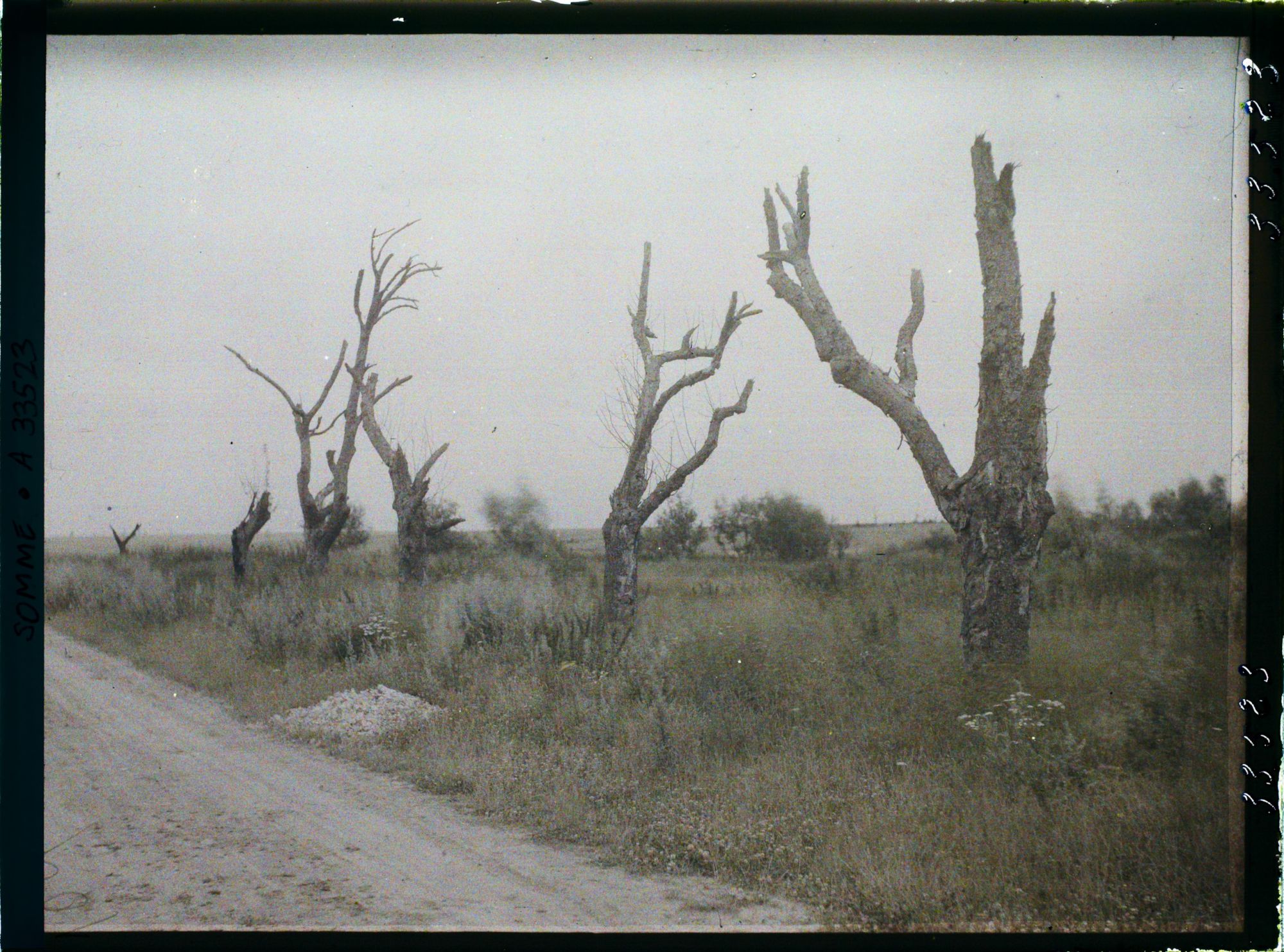 Image représentant France