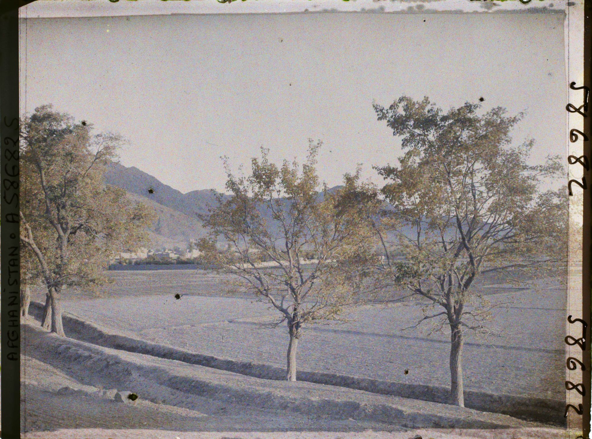 Image représentant IF970_A058682.jpg