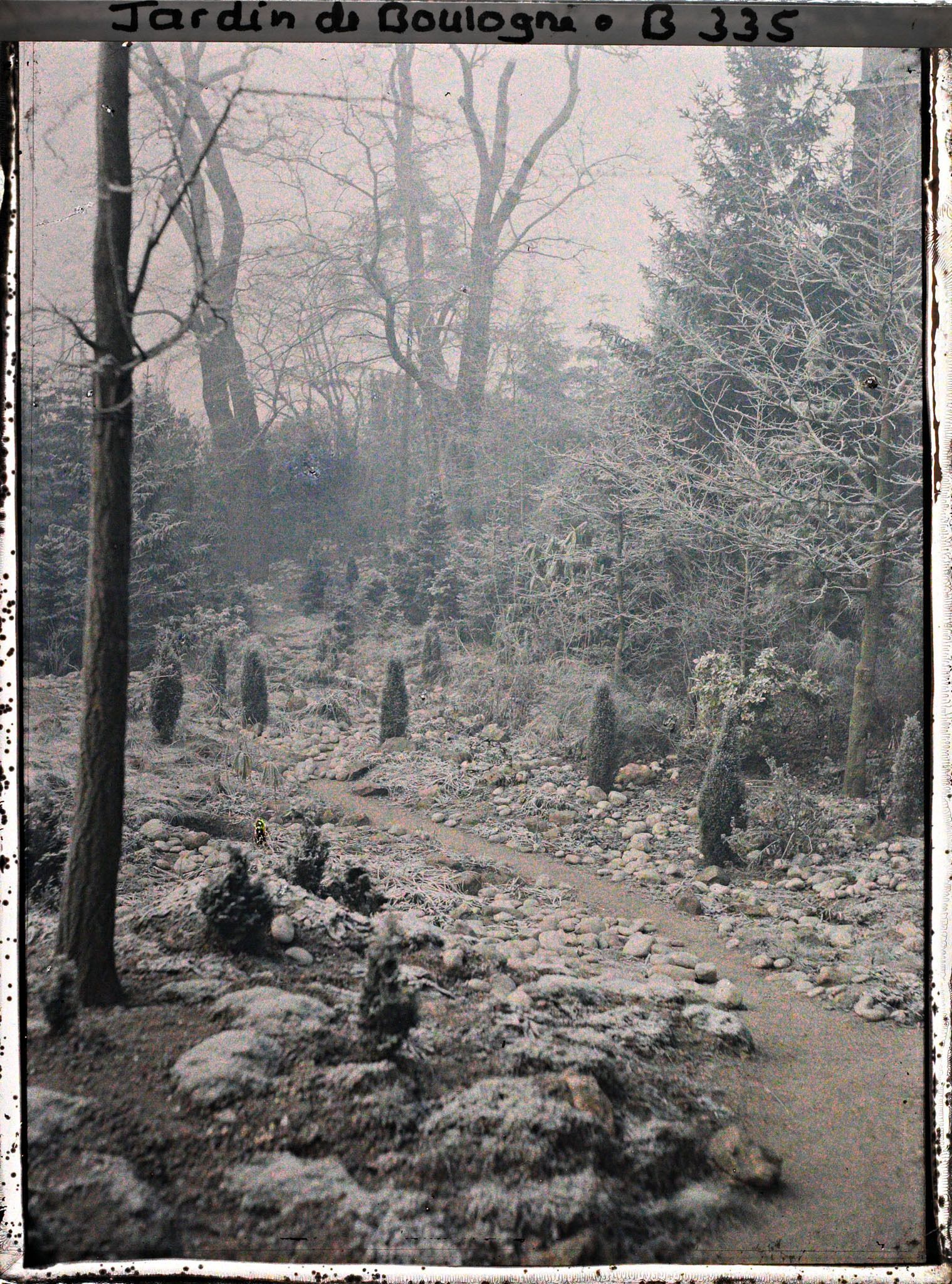 Image représentant Chemin menant vers le fond du " jardin chinois ", bordé de pierres et de conifères sous le givre