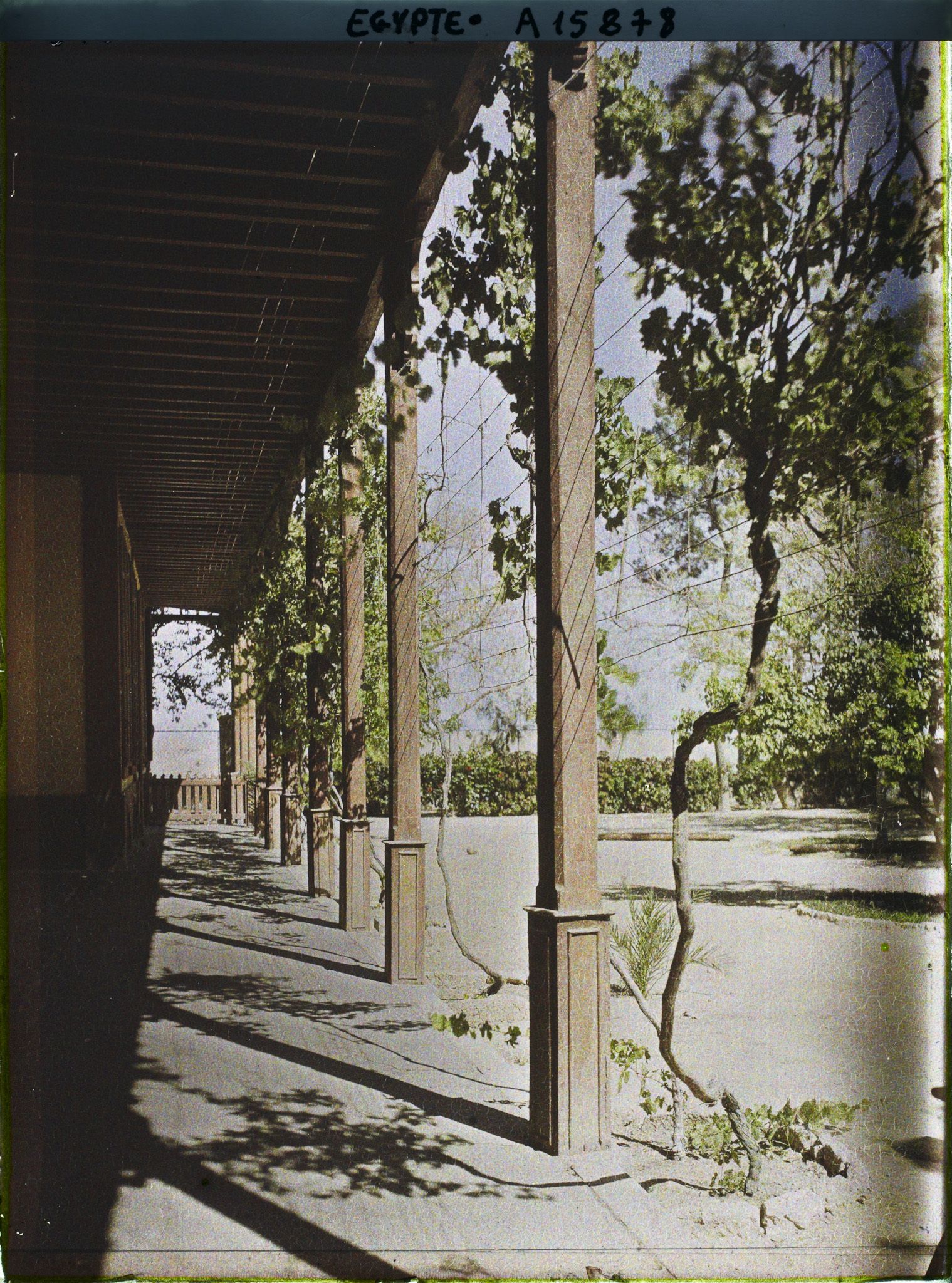 Image représentant Galerie de l'hôpital Saint Vincent-de-Paul