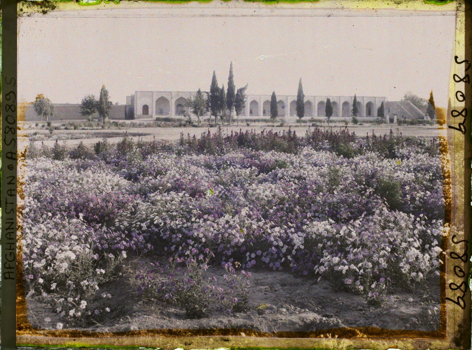 Image représentant Le jardin public et la façade du Palais des Gouverneurs