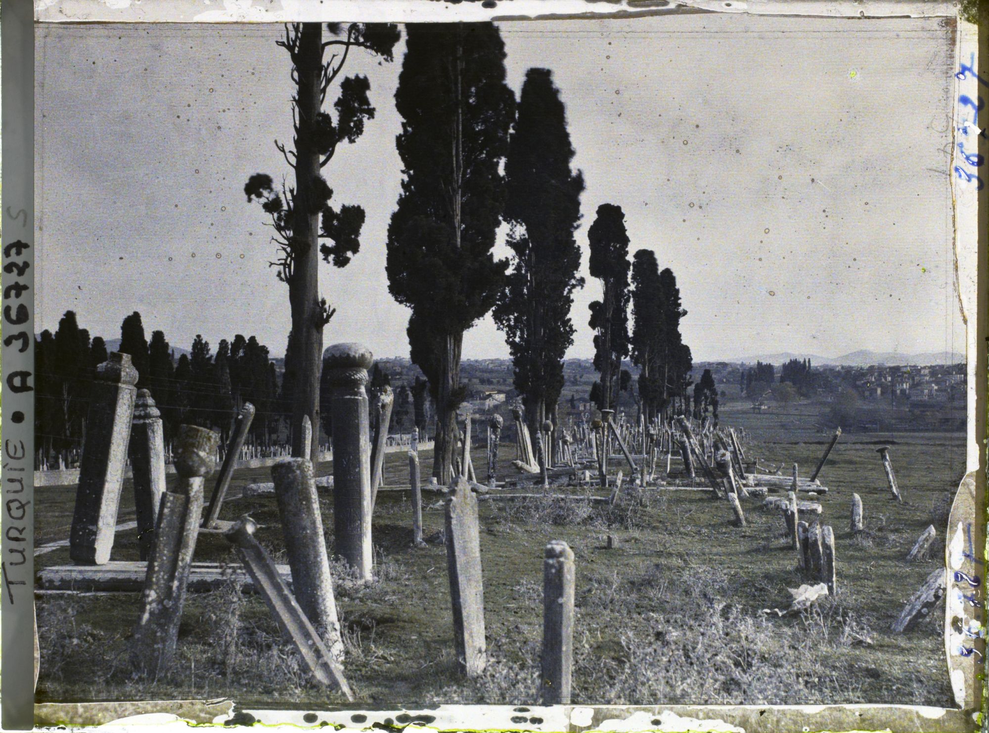 Image représentant Cimetière de Karacaahmet ou Büyük Mezaristan ("Grand cimetière"), dans un bois de cyprès