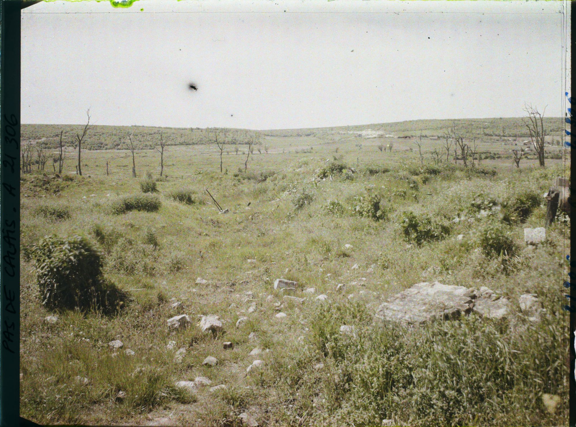 Image représentant France, Vimy, Vue Générale de la Crête de Vimy prise du Vieux Village