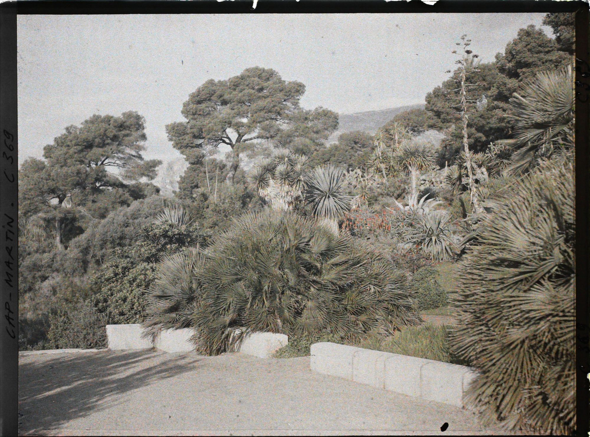 Image représentant Partie nord-ouest de la terrasse inférieure ouverte sur le jardin de la villa Kahn, dite villa Zamir