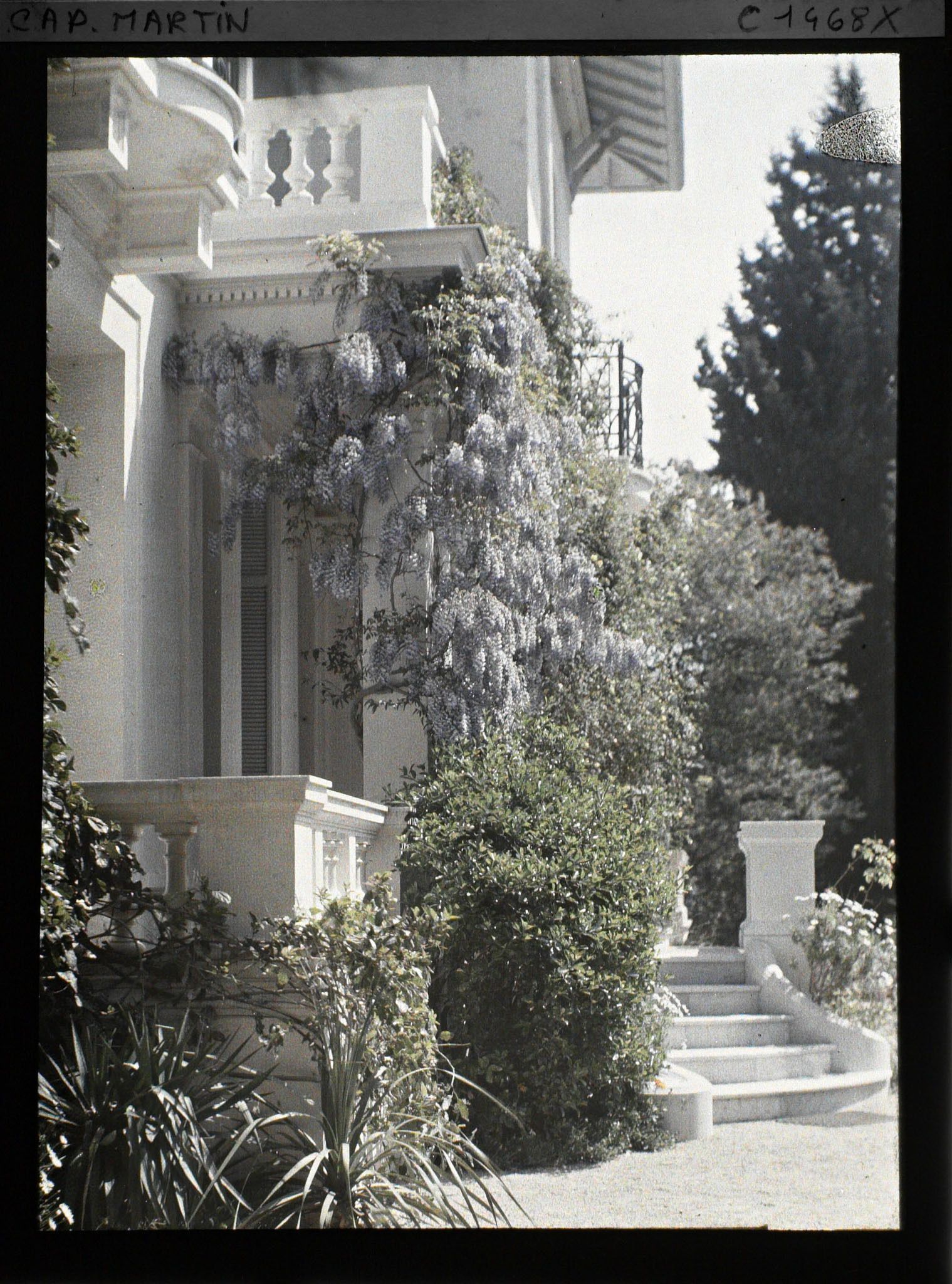 Image représentant Villa Miramar. Le perron avec la glycine