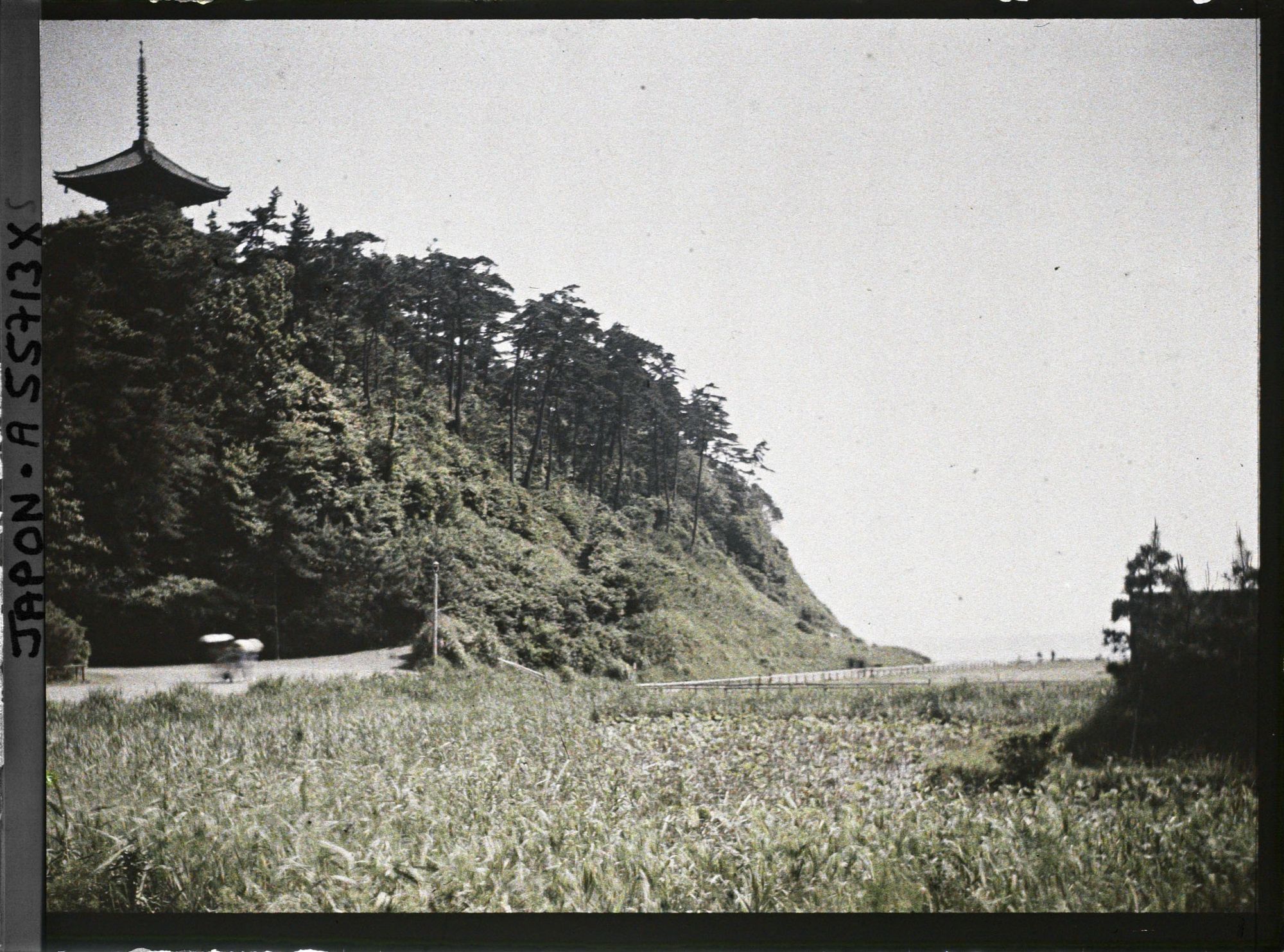 Image représentant Jardin Sankeien