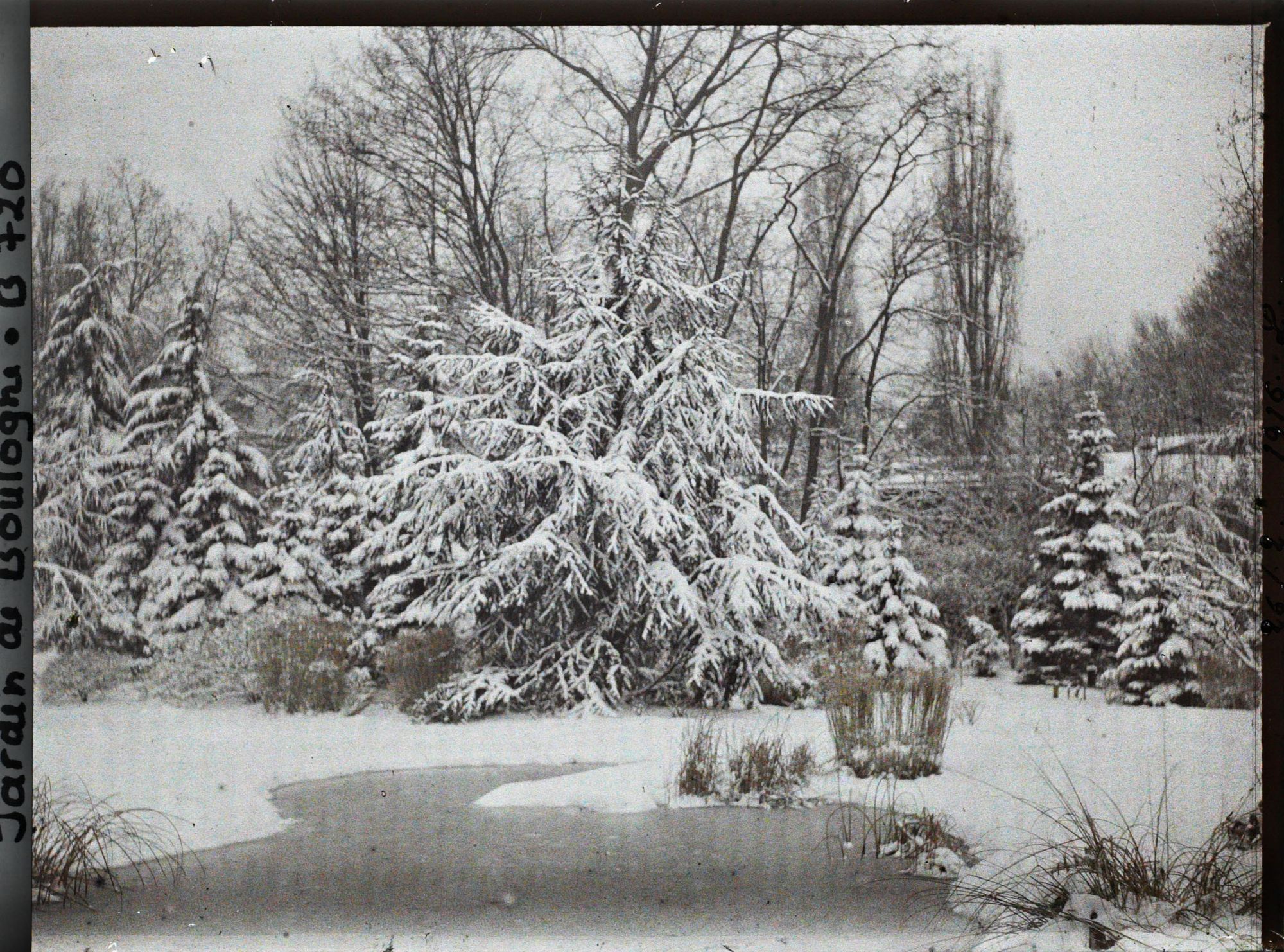 Image représentant Le Marais sous la neige