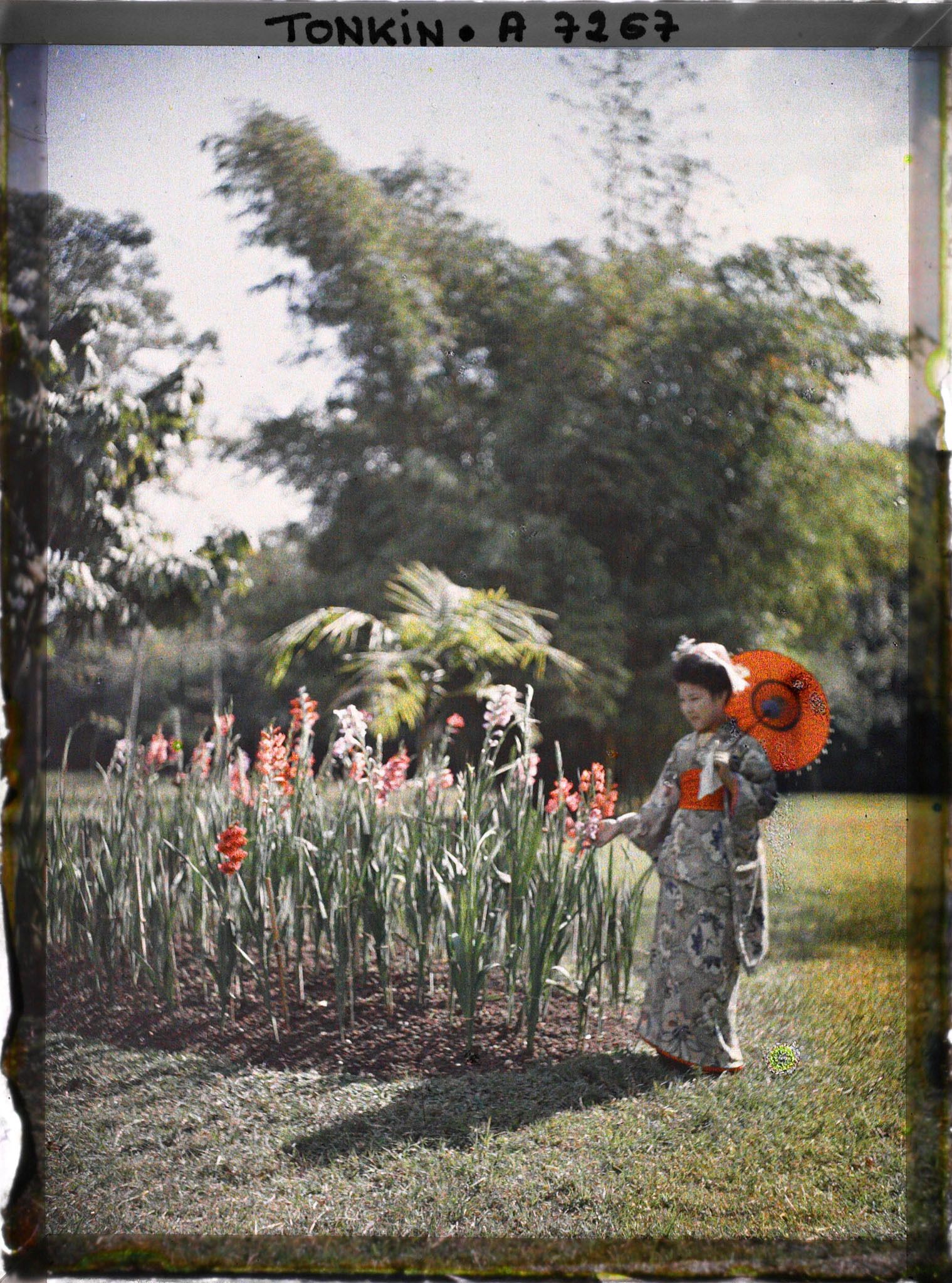 Image représentant Une jeune Japonaise en kimono, avec une ombrelle rouge, devant un massif de glaieuls