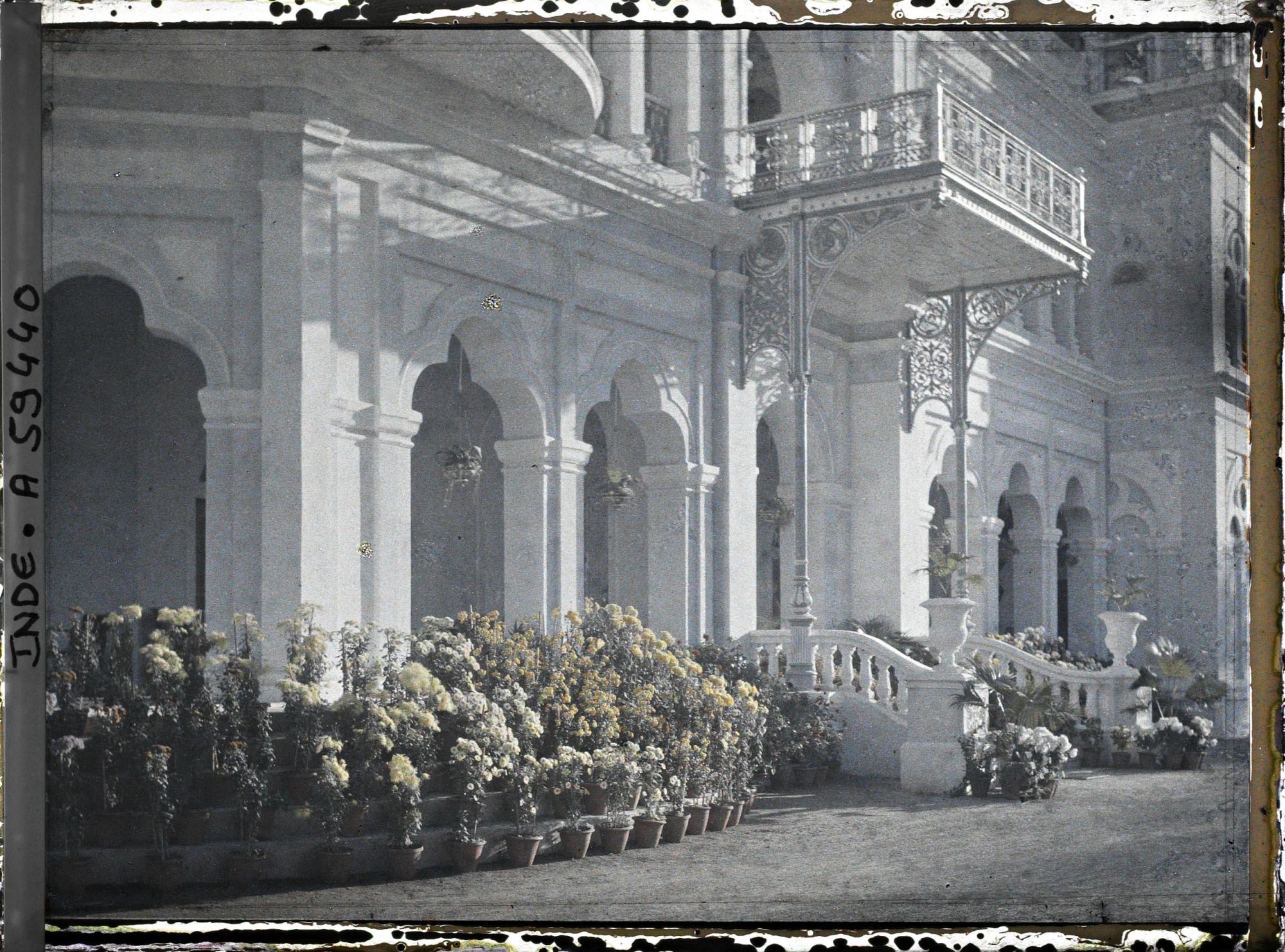 Image représentant La galerie de la villa Buona Vista