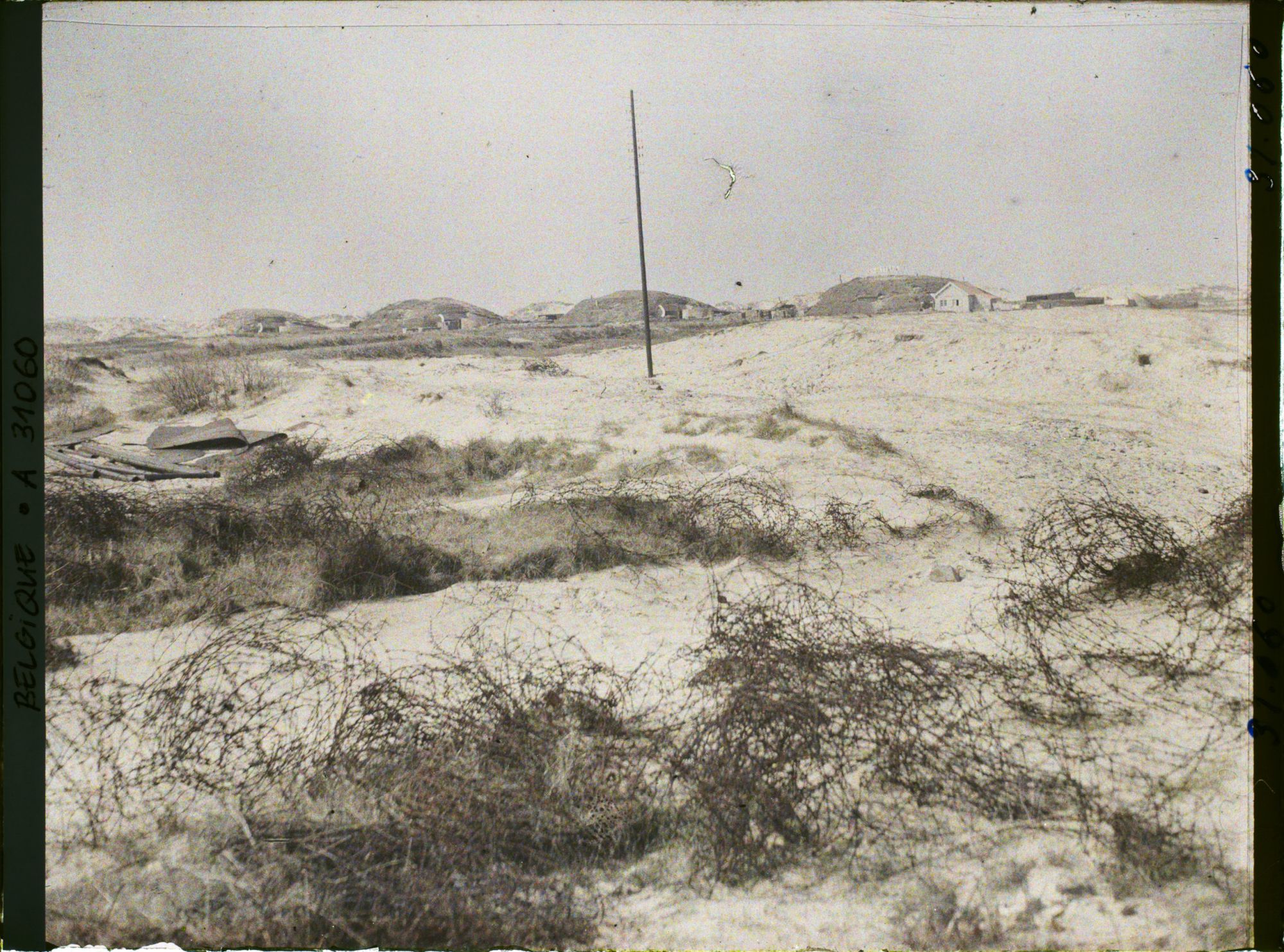 Image représentant Belgique, Knocke, Vue d'ensemble de la batterie Guillaume II