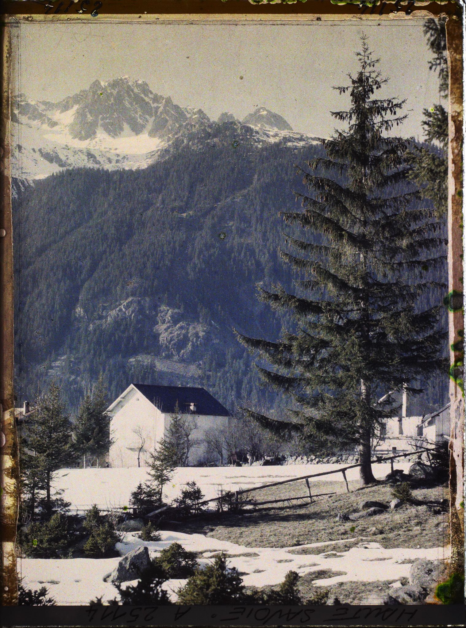 Image représentant France Les Alpes, Vallée de Chamonix, Du Village des Bois : la Chaine du Brévent et l'Aiguille Pourrie