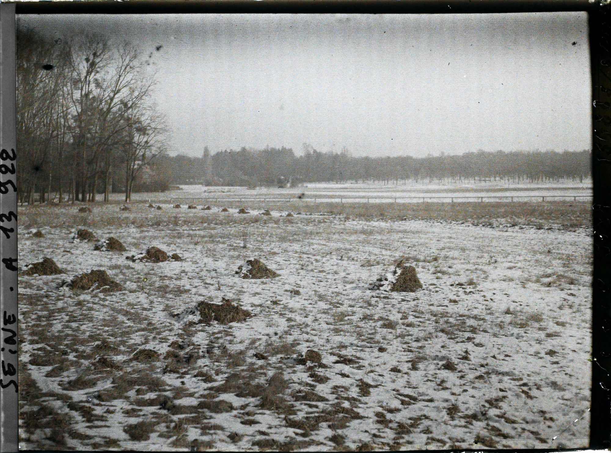 Image représentant La plaine de Longchamps sous la neige