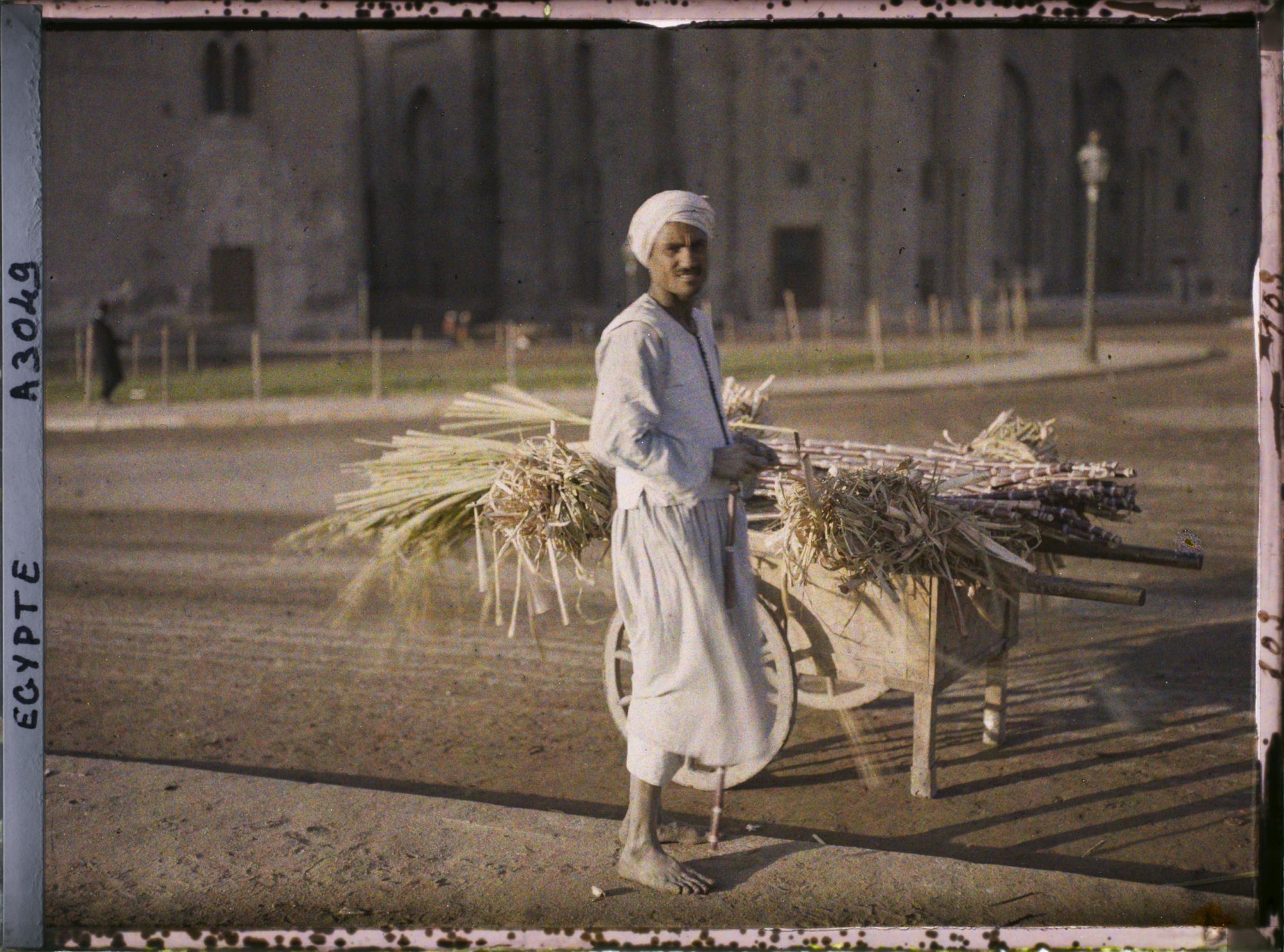 Image représentant Marchand ambulant de canne à sucre