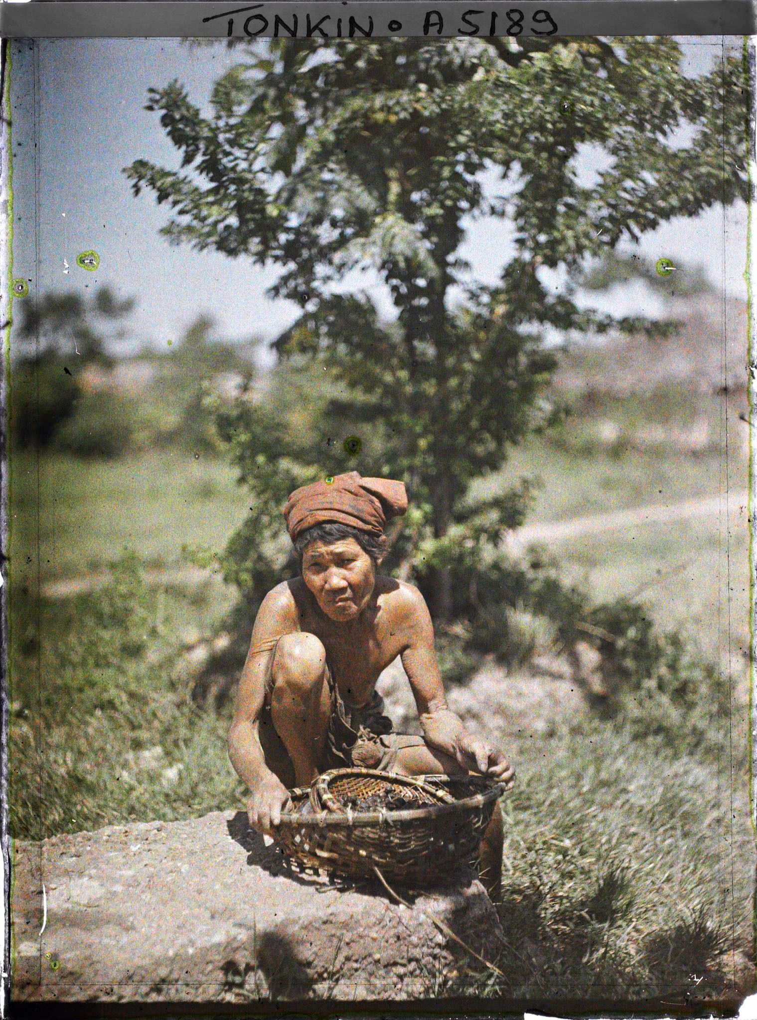 Image représentant Femme ramassant des escargots