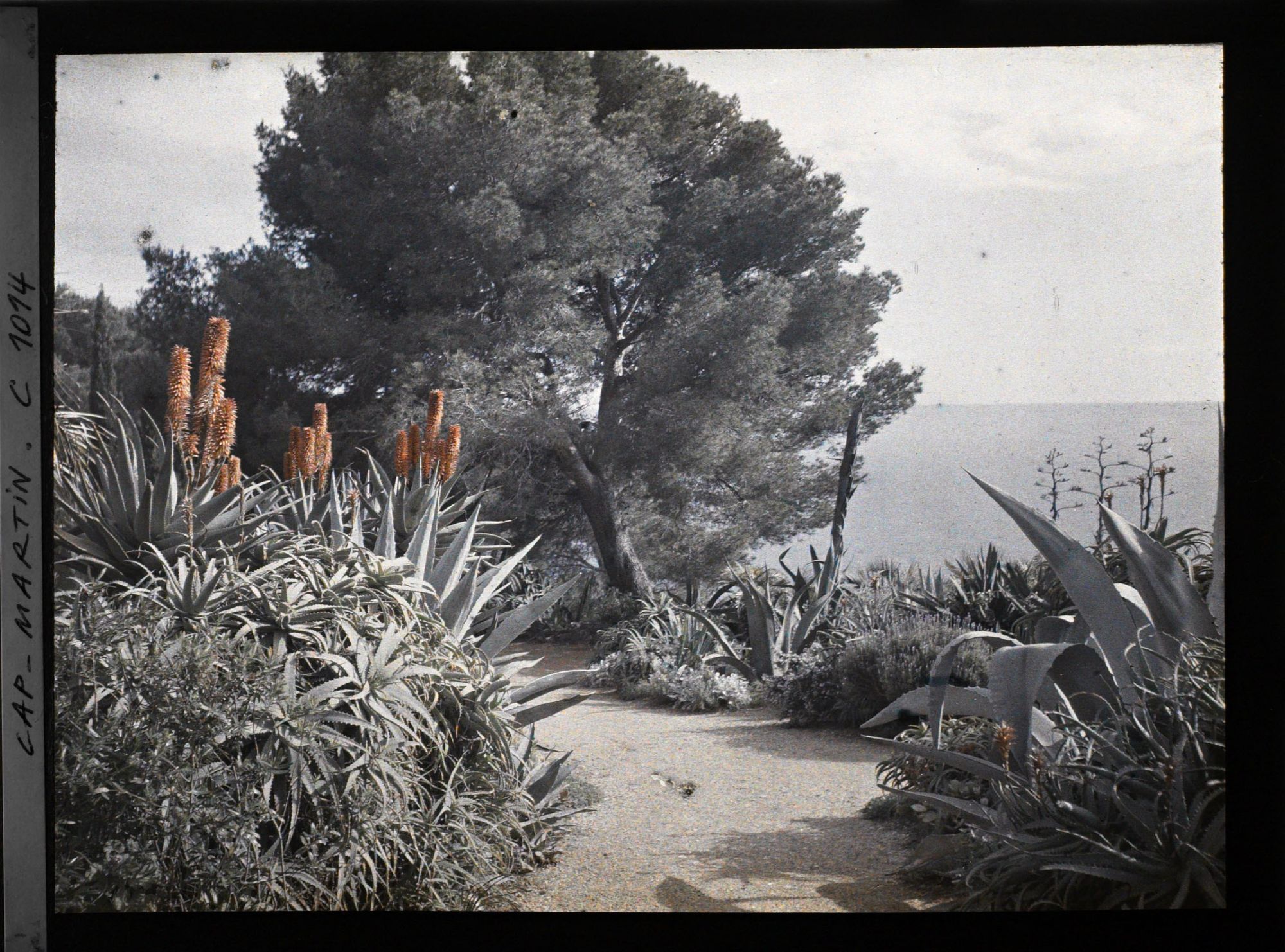 Image représentant Le Jardin, vue vers la mer