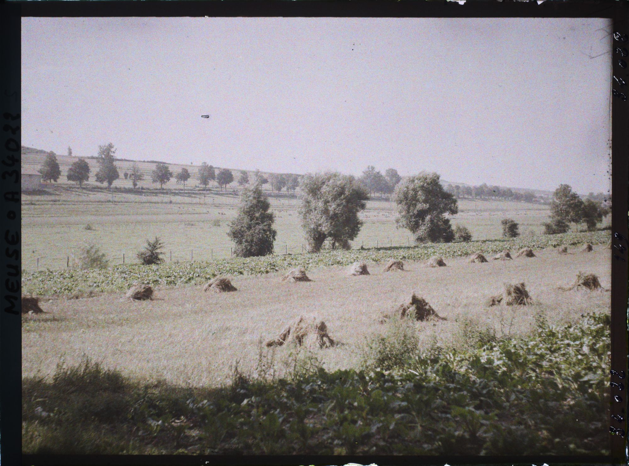 Image représentant France, Glorieux, Vue prise de Glorieux vers le Sud, la rangée d'arbres désigne la route de Paris (voie sacrée)