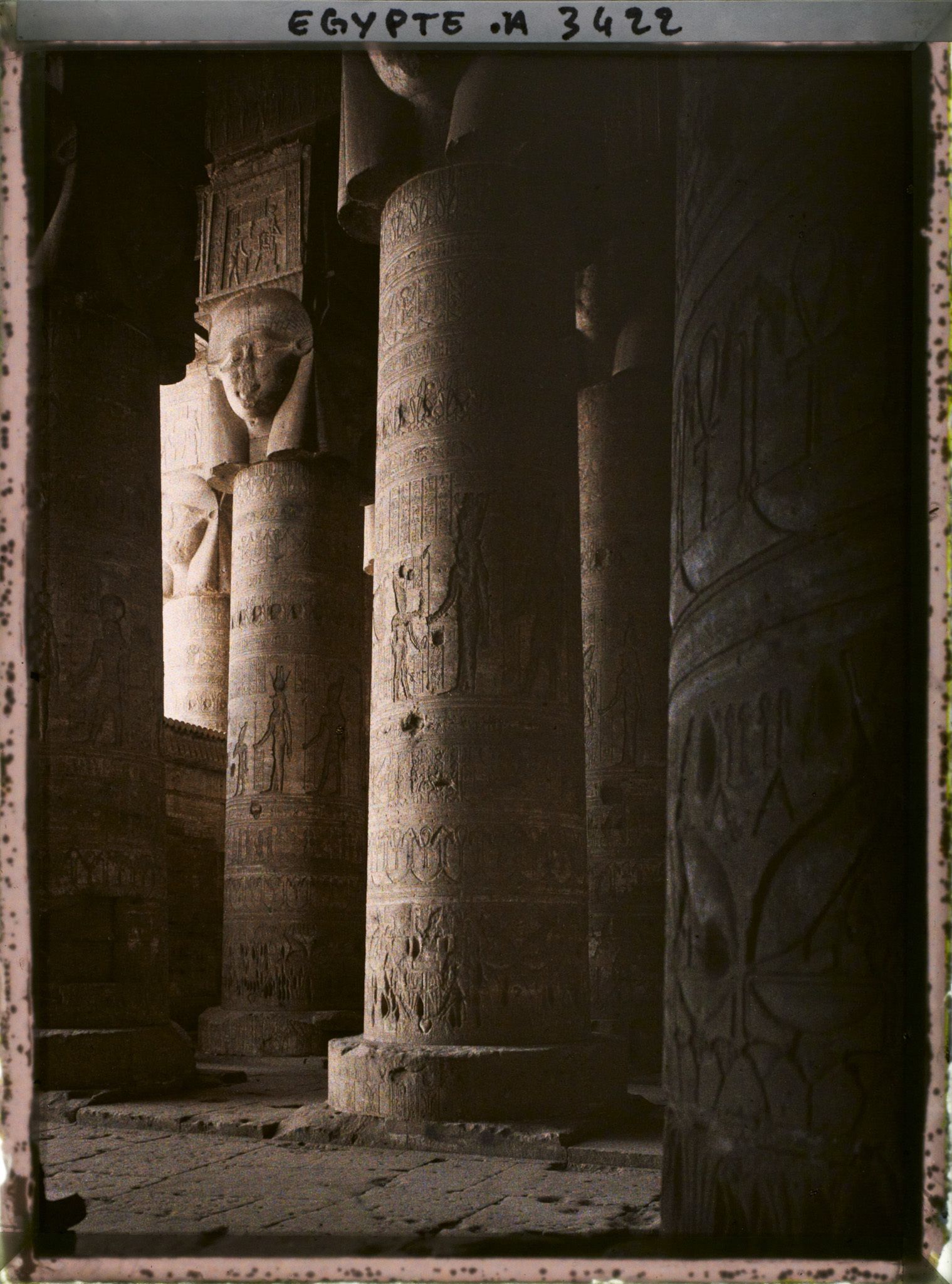 Image représentant Colonnes hathoriques de la salle hypostyle du temple