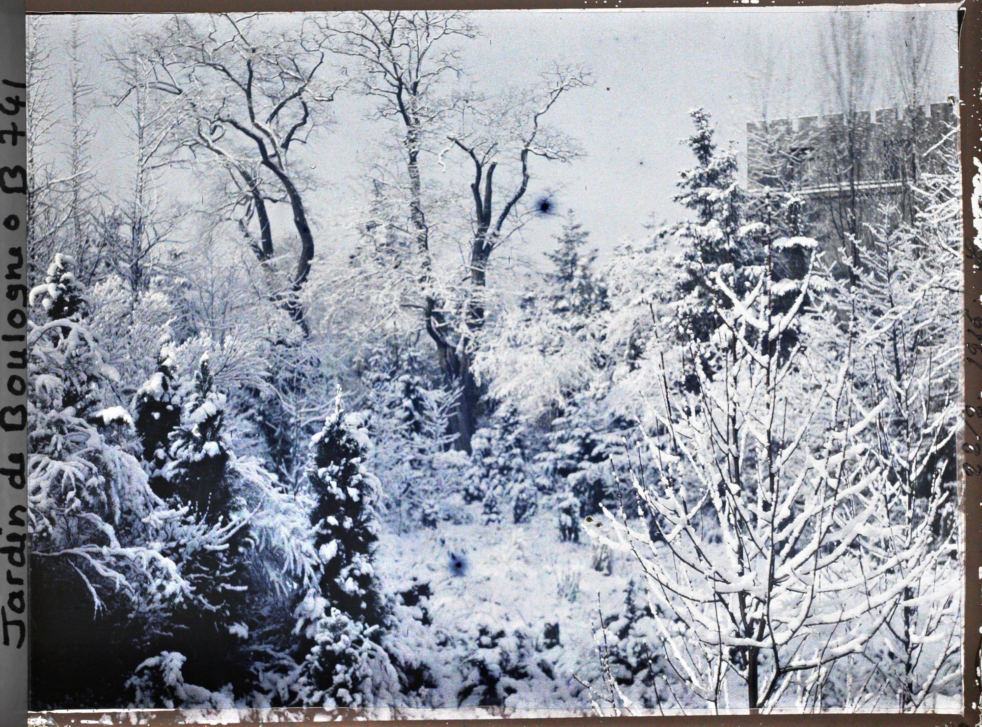 Image représentant Rocaille et bas de vallon du " jardin chinois " sous la neige, proches du " sanctuaire japonais "