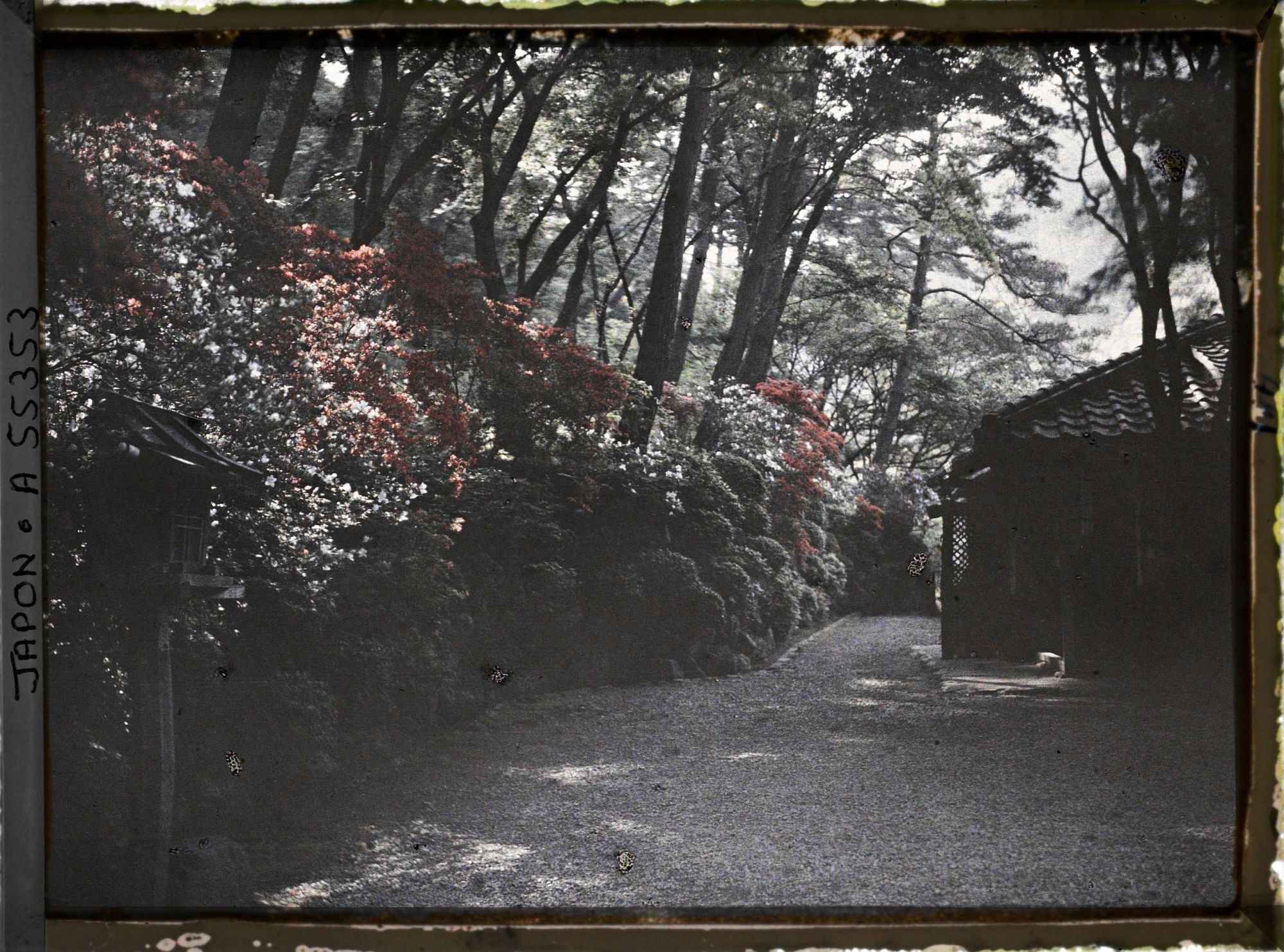Image représentant Maison à Arashiyama