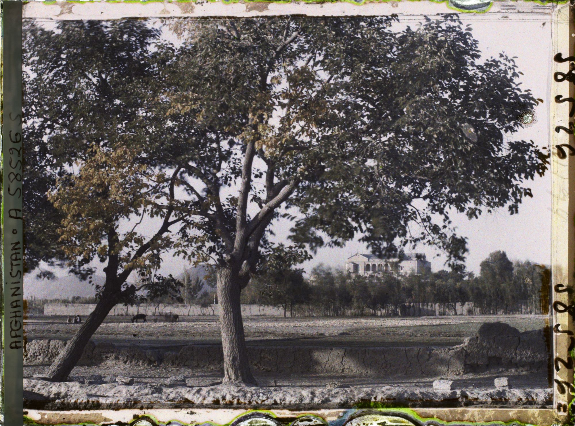 Image représentant Vers le Palais royal de Chehel Sotun (les quarante colonnes)