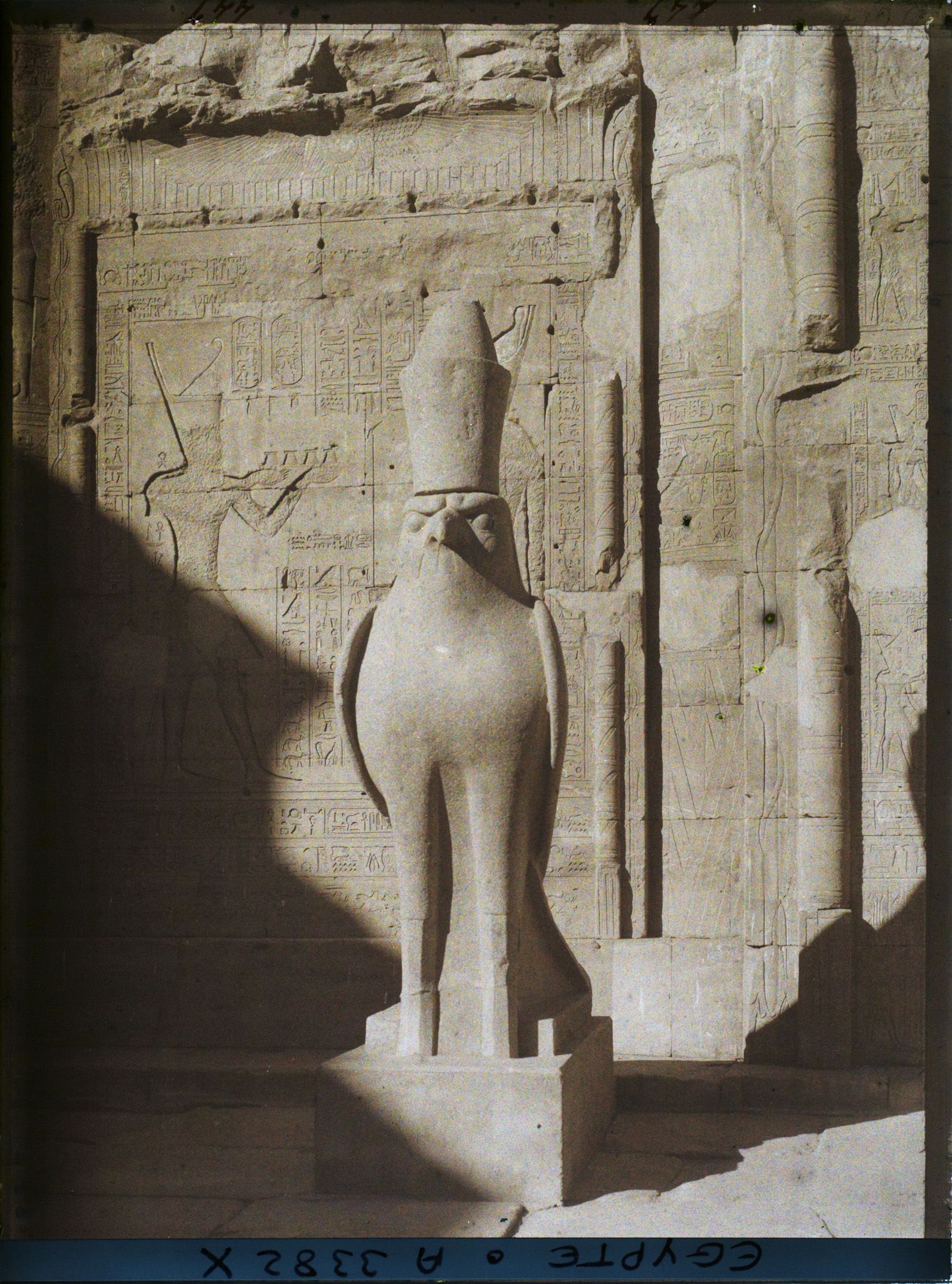 Image représentant Statue de faucon à la porte du pronaos (vestibule) du temple d'Horus