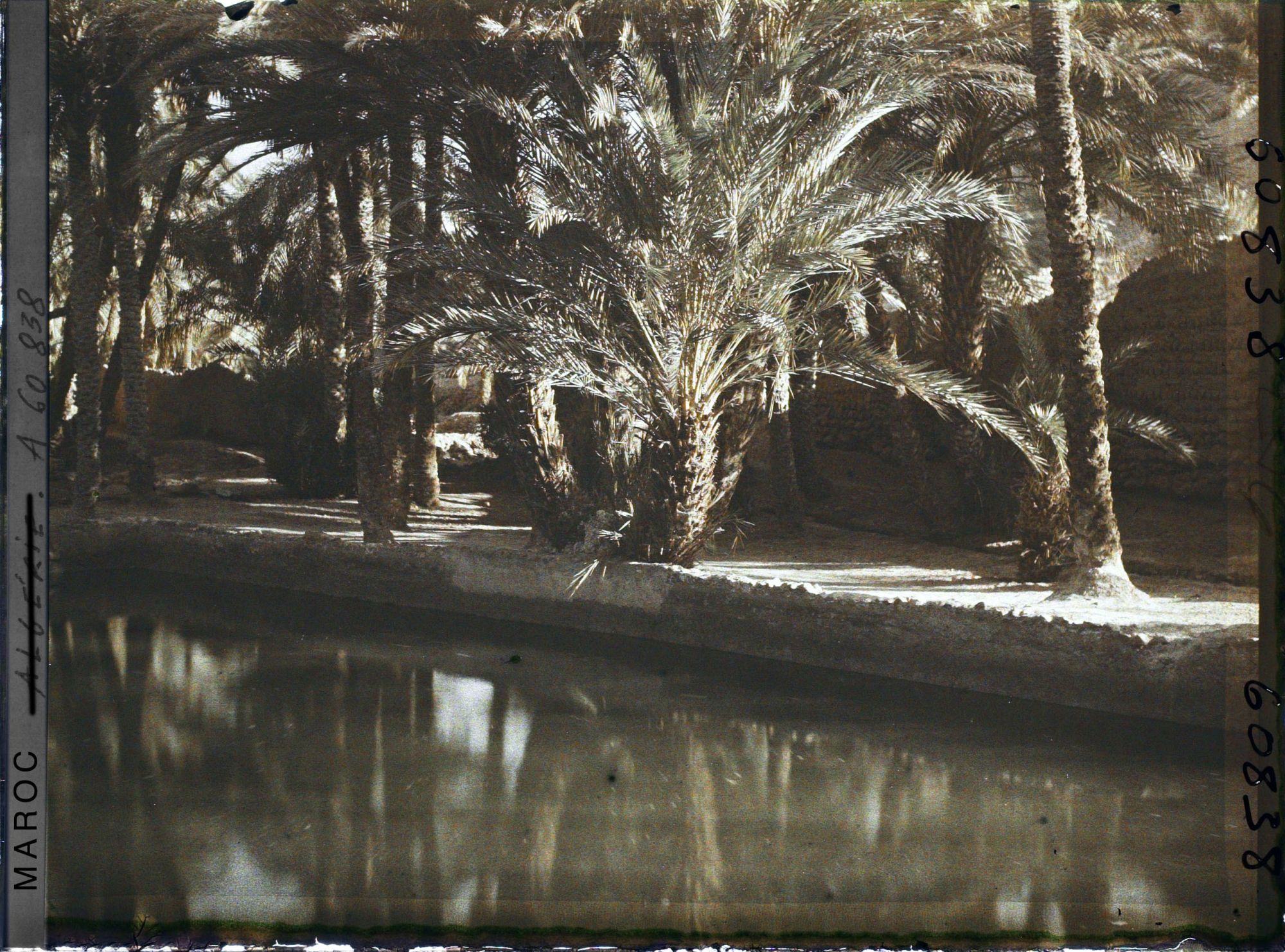 Image représentant Un bassin de retenue dans l'oasis de Zenaga