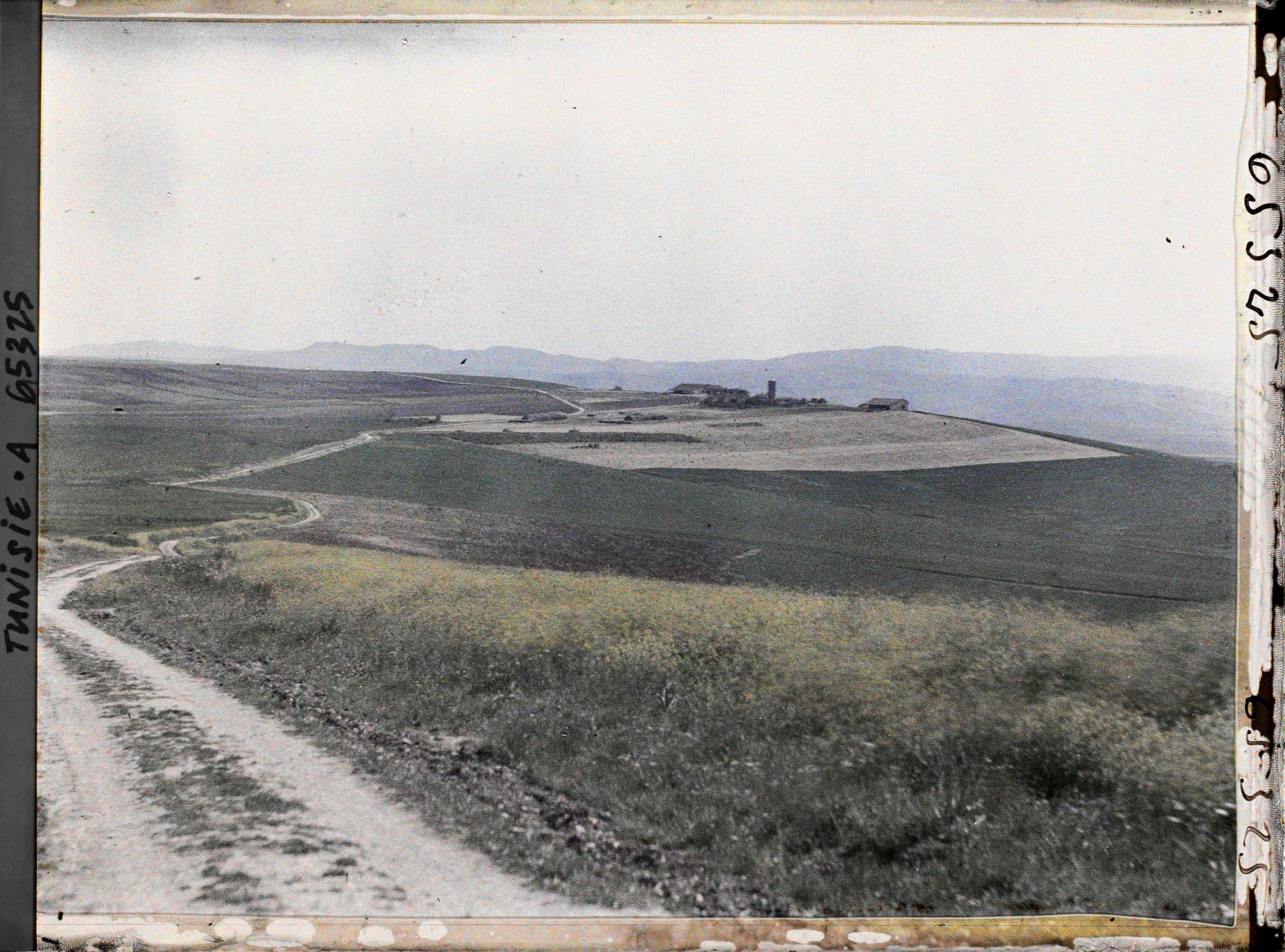 Image représentant Les champs cultivés de la ferme de Bou-Bakou