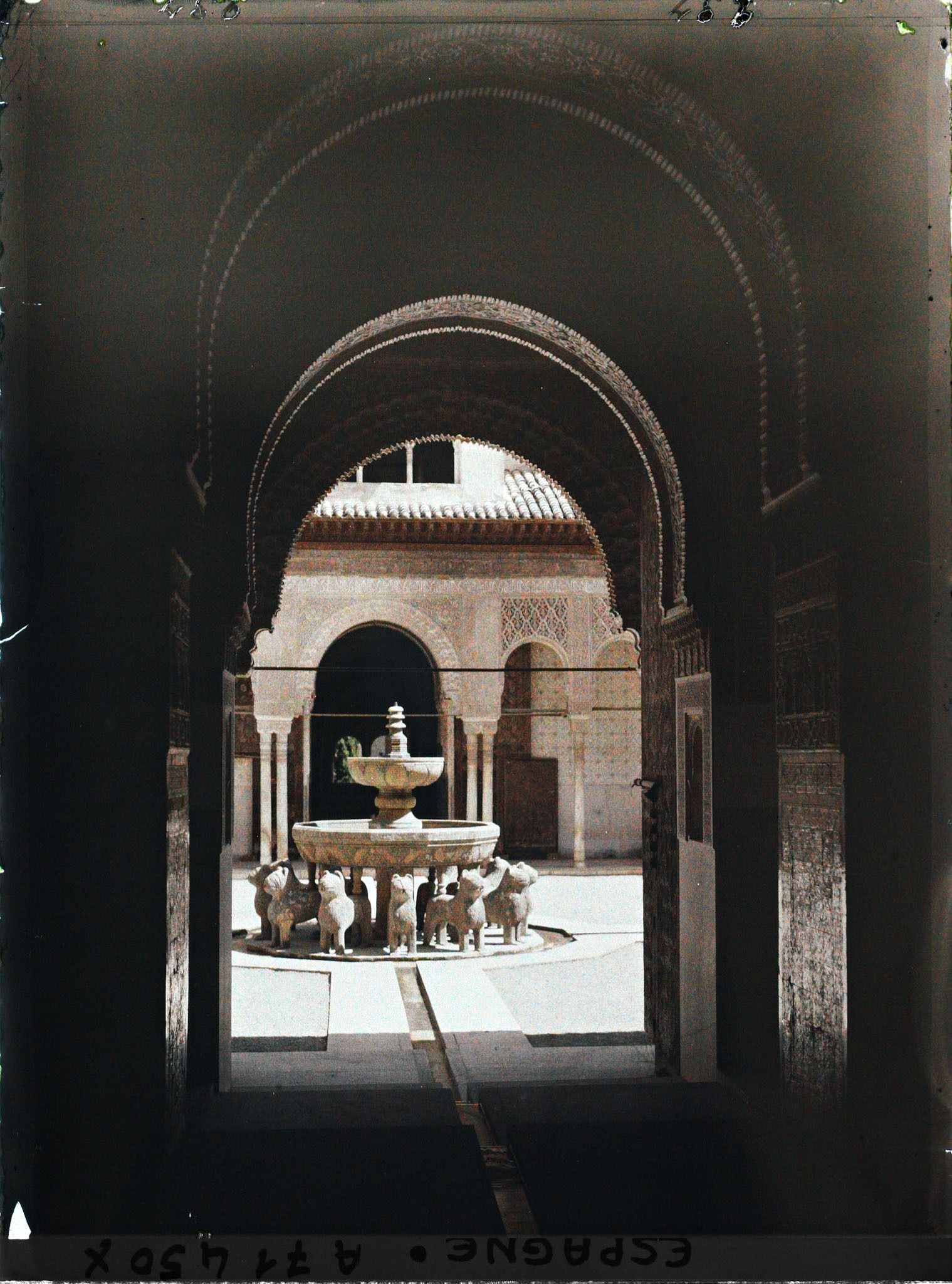 Image représentant Alhambra : la fontaine de la cour des Lions dans les palais Nasrides