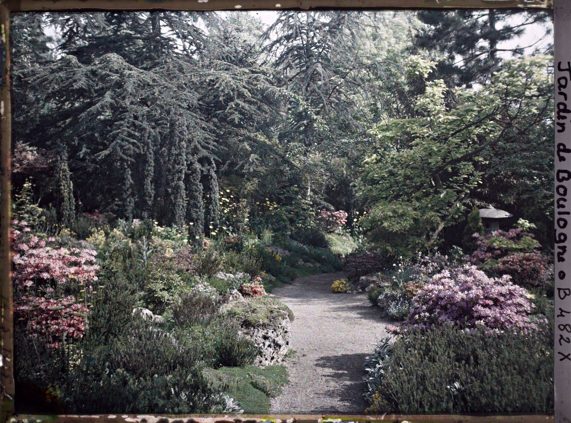 Image représentant Chemin fleuri du " sanctuaire japonais " non loin du sôrintô, menant au verger-roseraie