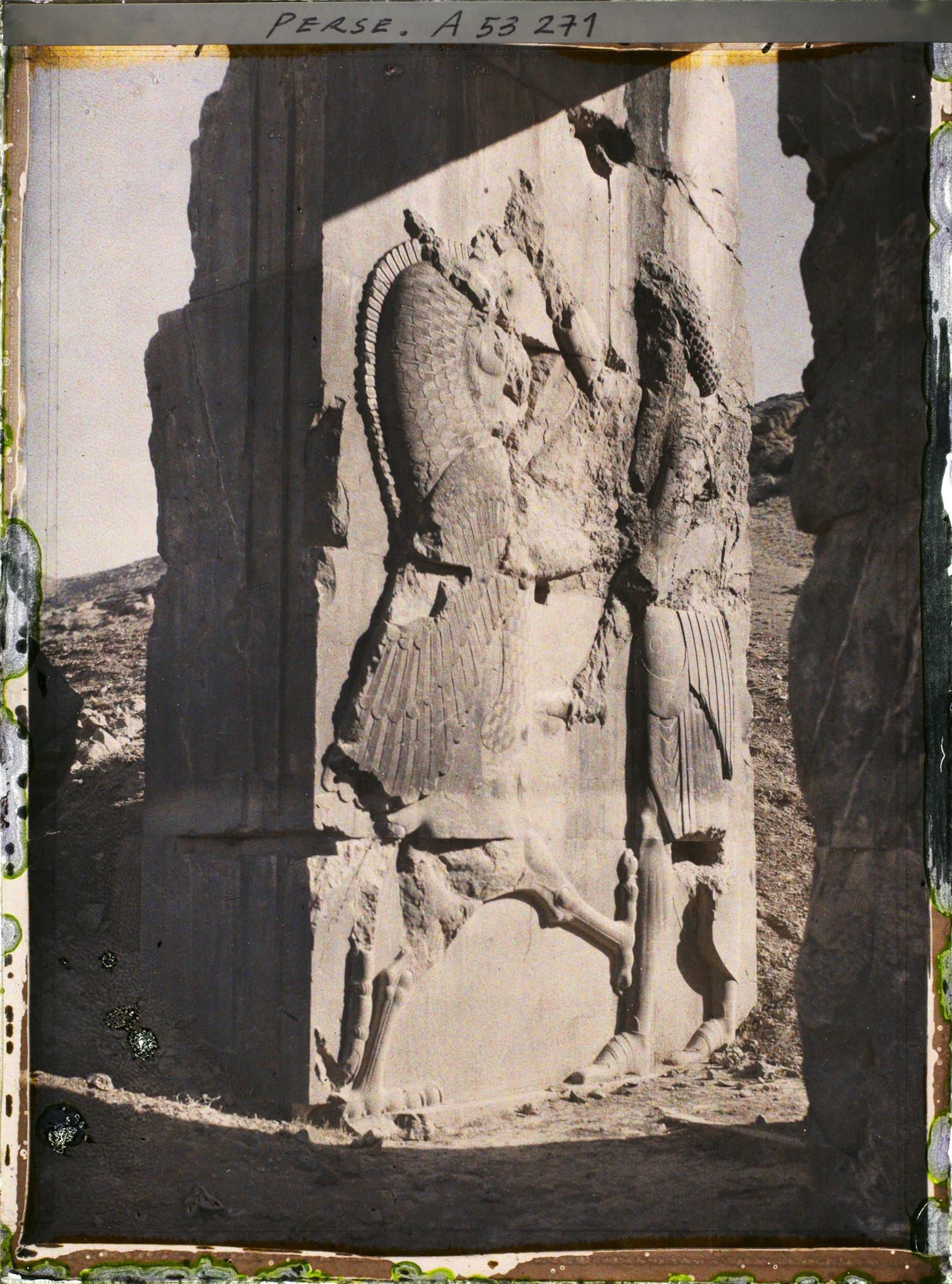 Image représentant Bas-relief représentant Darius 1er luttant contre un animal fabuleux, palais des cent colonnes