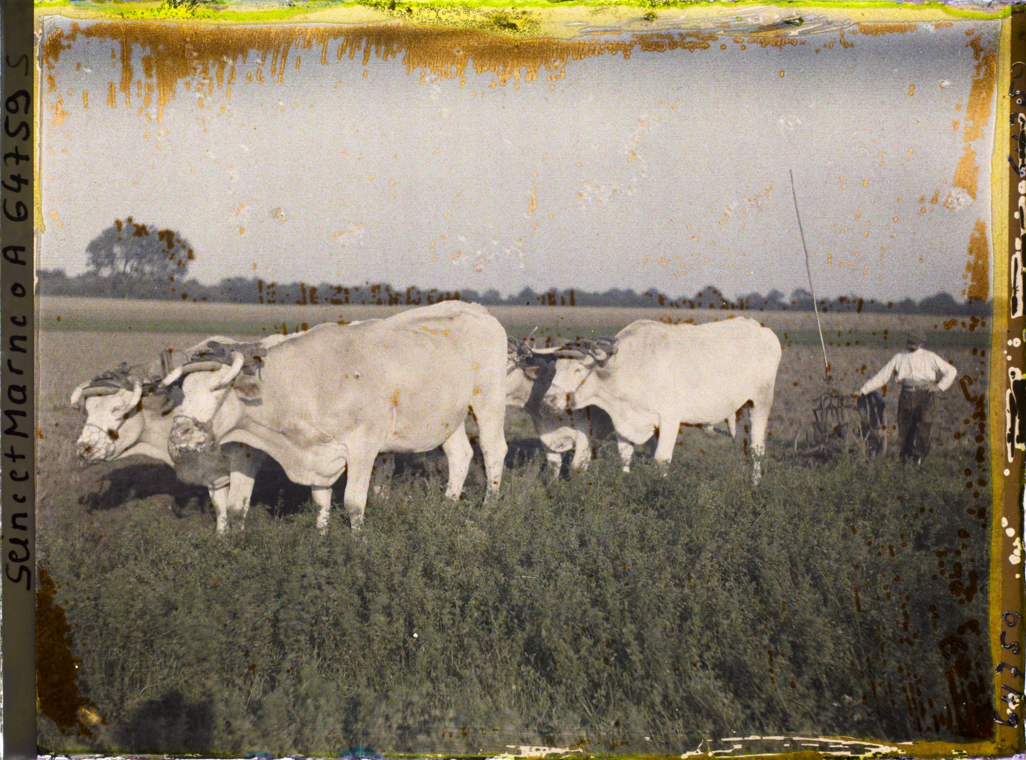 Image représentant Seine et Marne, Vaires, Charrue à traction animale