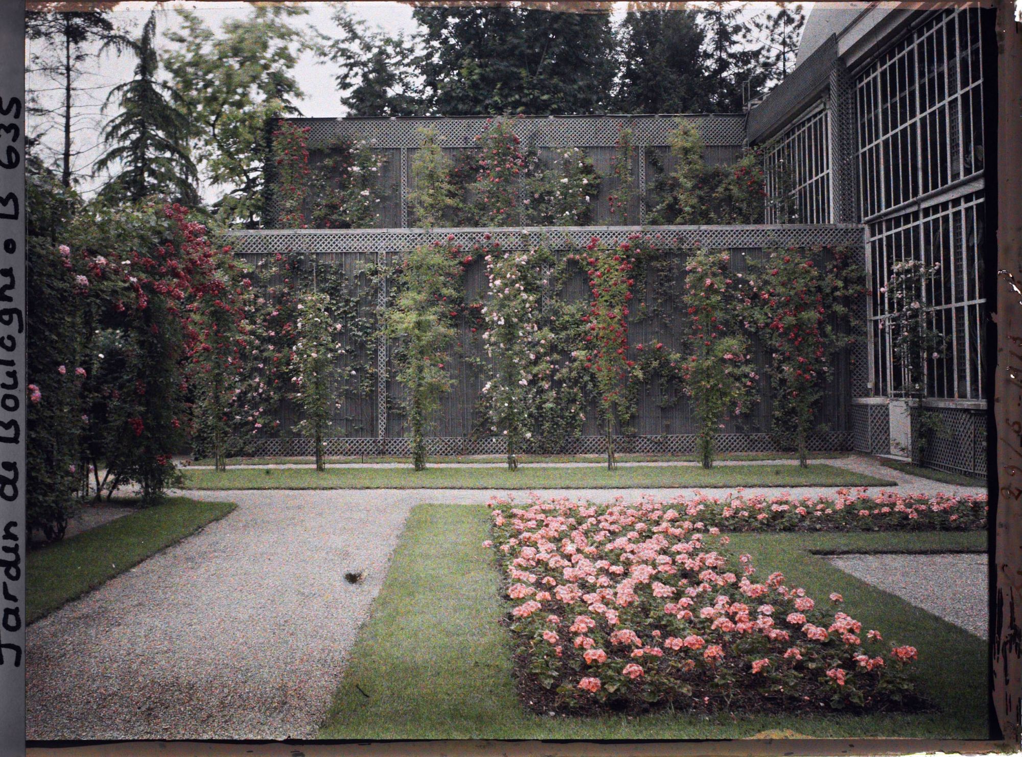 Image représentant Parterre nord-ouest du jardin français, situé près de la serre et du verger-roseraie