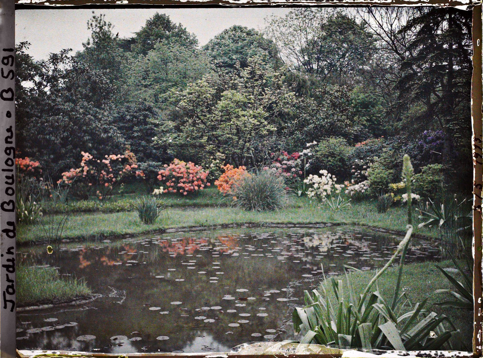 Image représentant pièces d'eau du marais