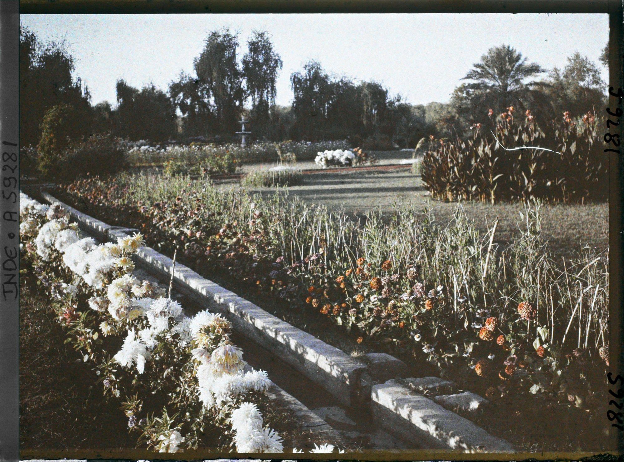 Image représentant Le parc du palais Jagatjit