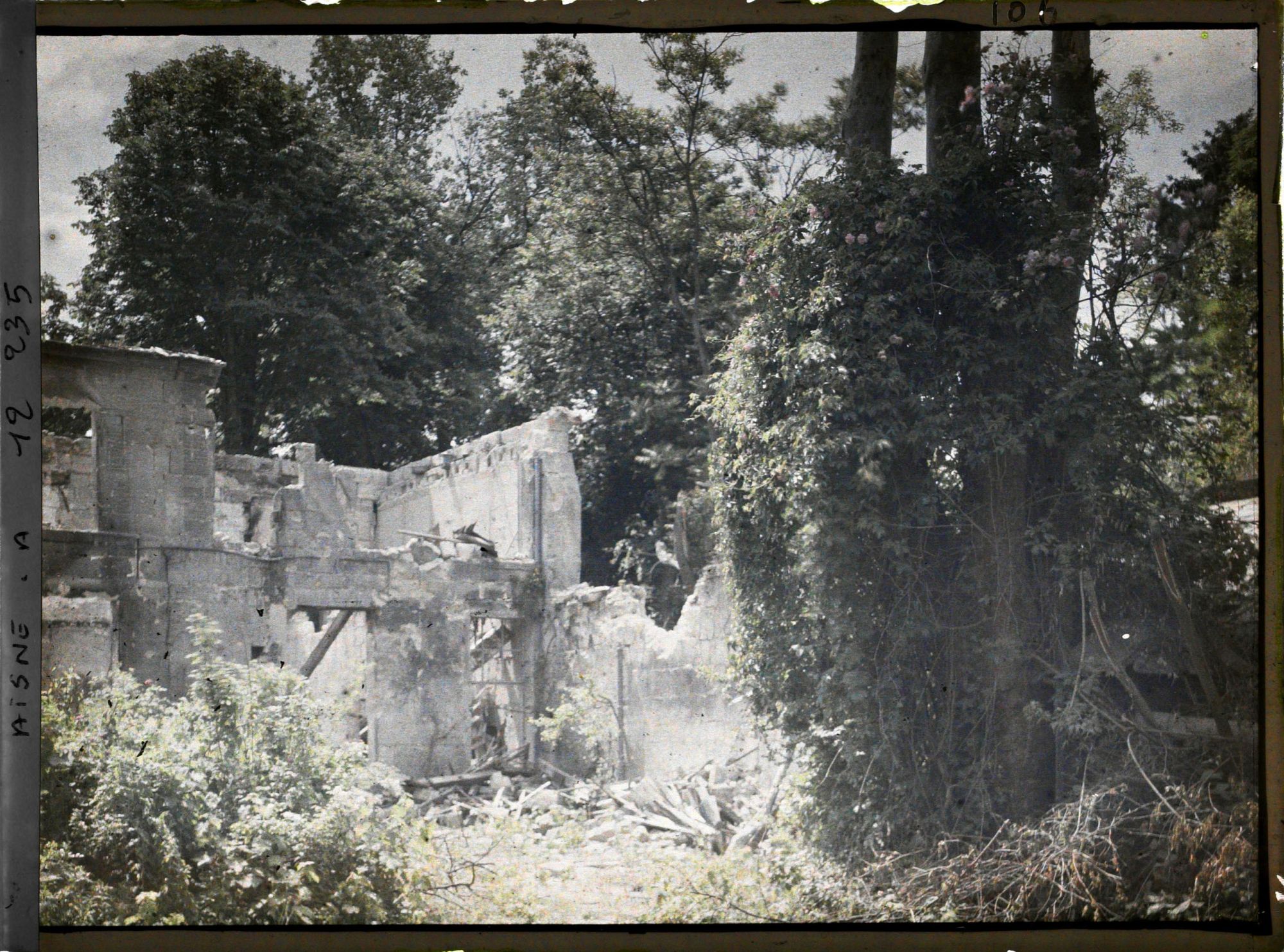 Image représentant Ruines de l'ancienne abbaye