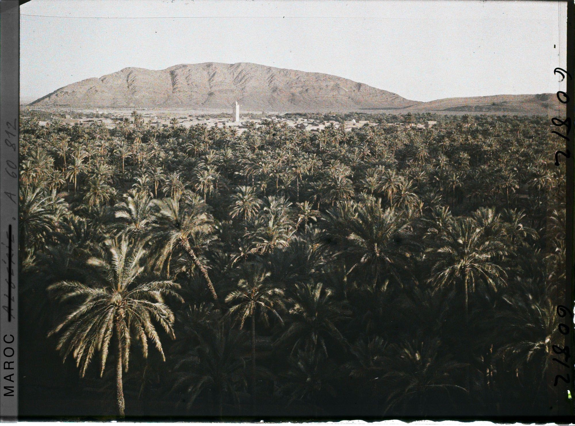 Image représentant Le soir, vue sur la palmeraie de Zenaga