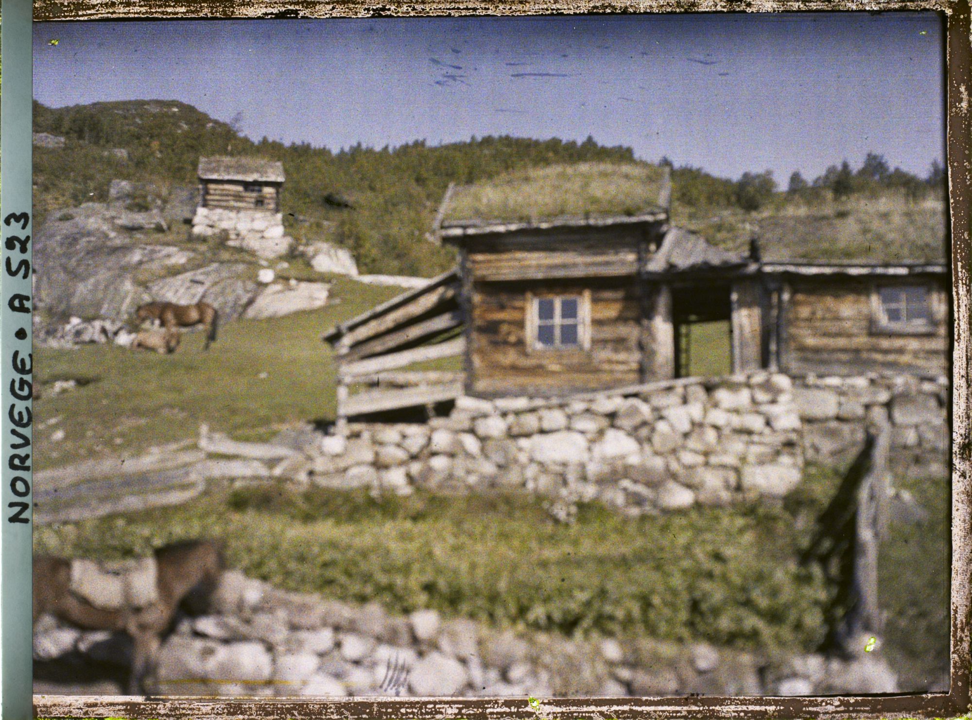 Image représentant maisons de bois à toiture herbeuse