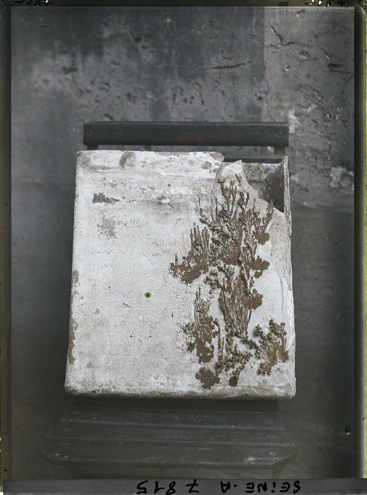 Image représentant Moulage ?