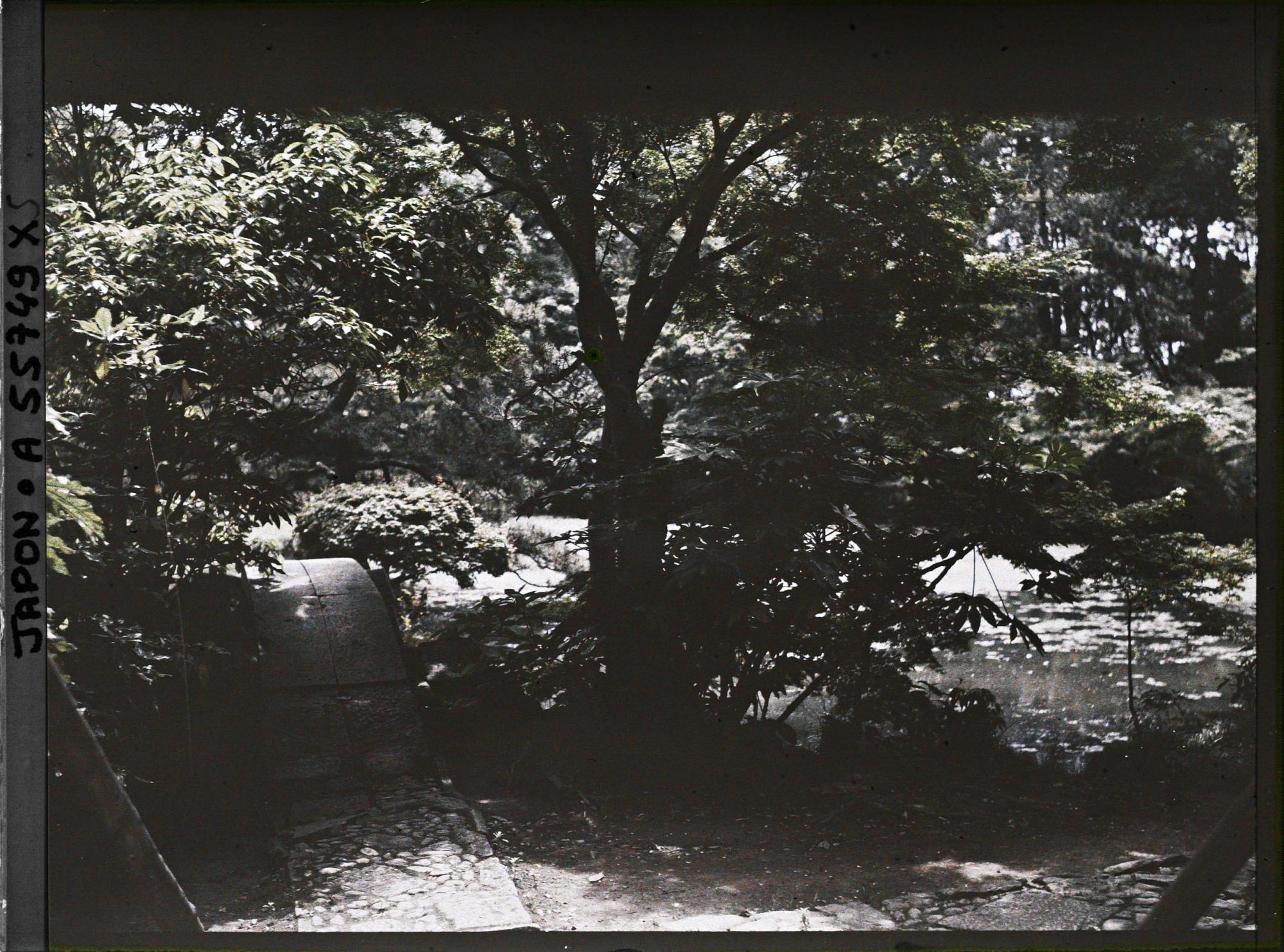 Image représentant Koishikawa Kôrakuen (jardin de l'Arsenal), pont du Naitei (jardin intérieur)